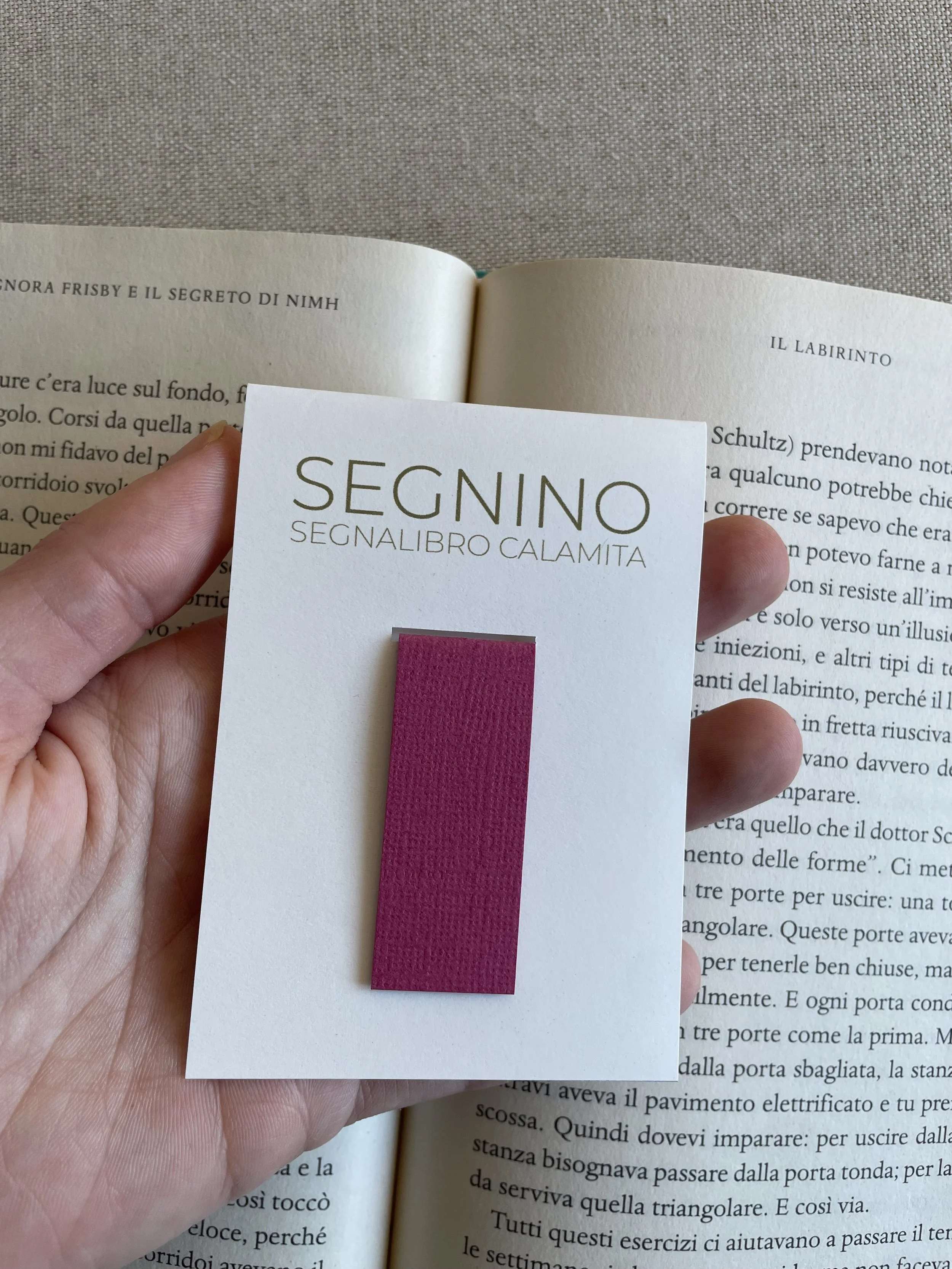 Foto 08-12-25, 12 14 12.jpg