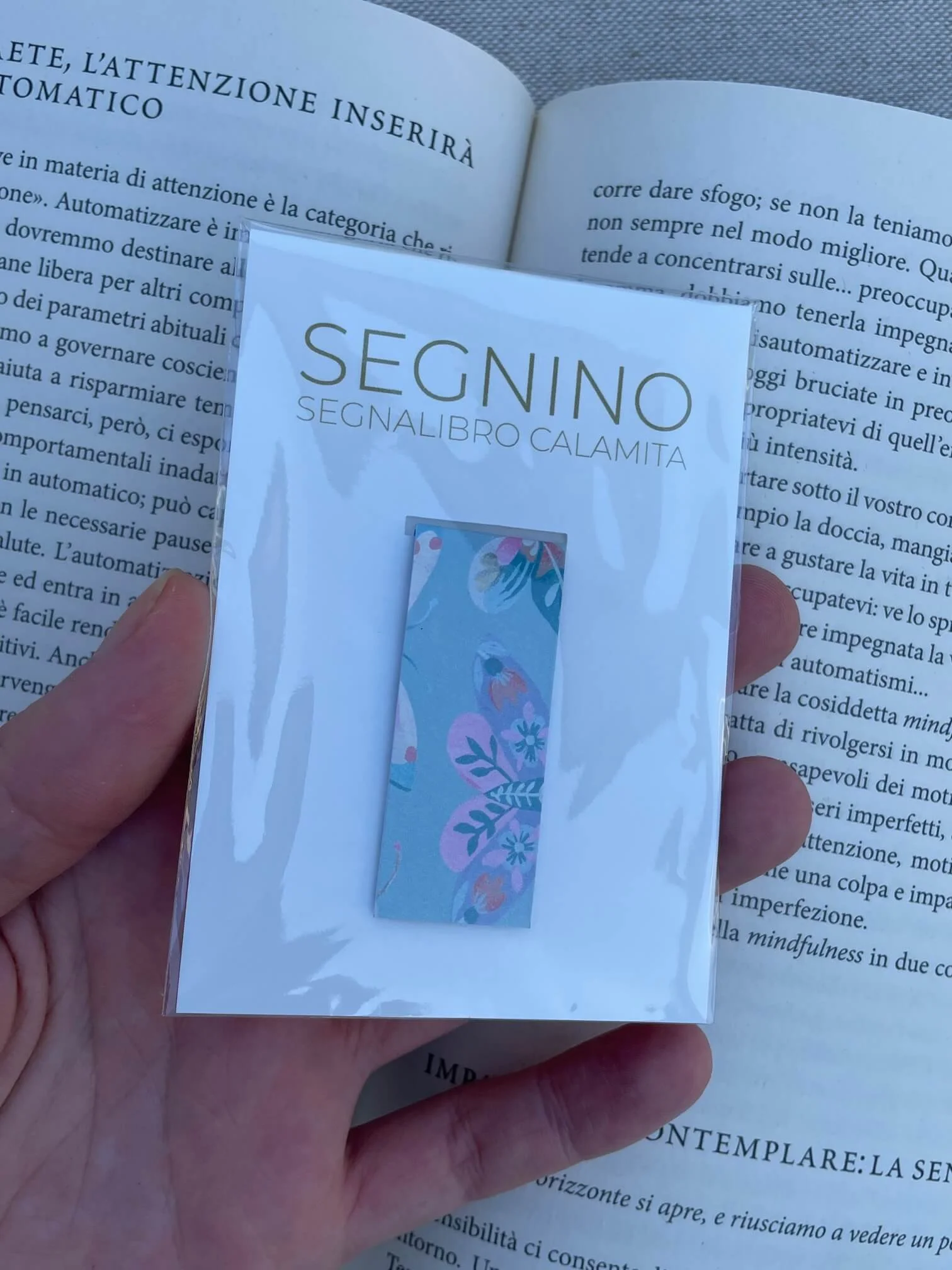 SEGNINO PICCOLO farfalle opalescente
