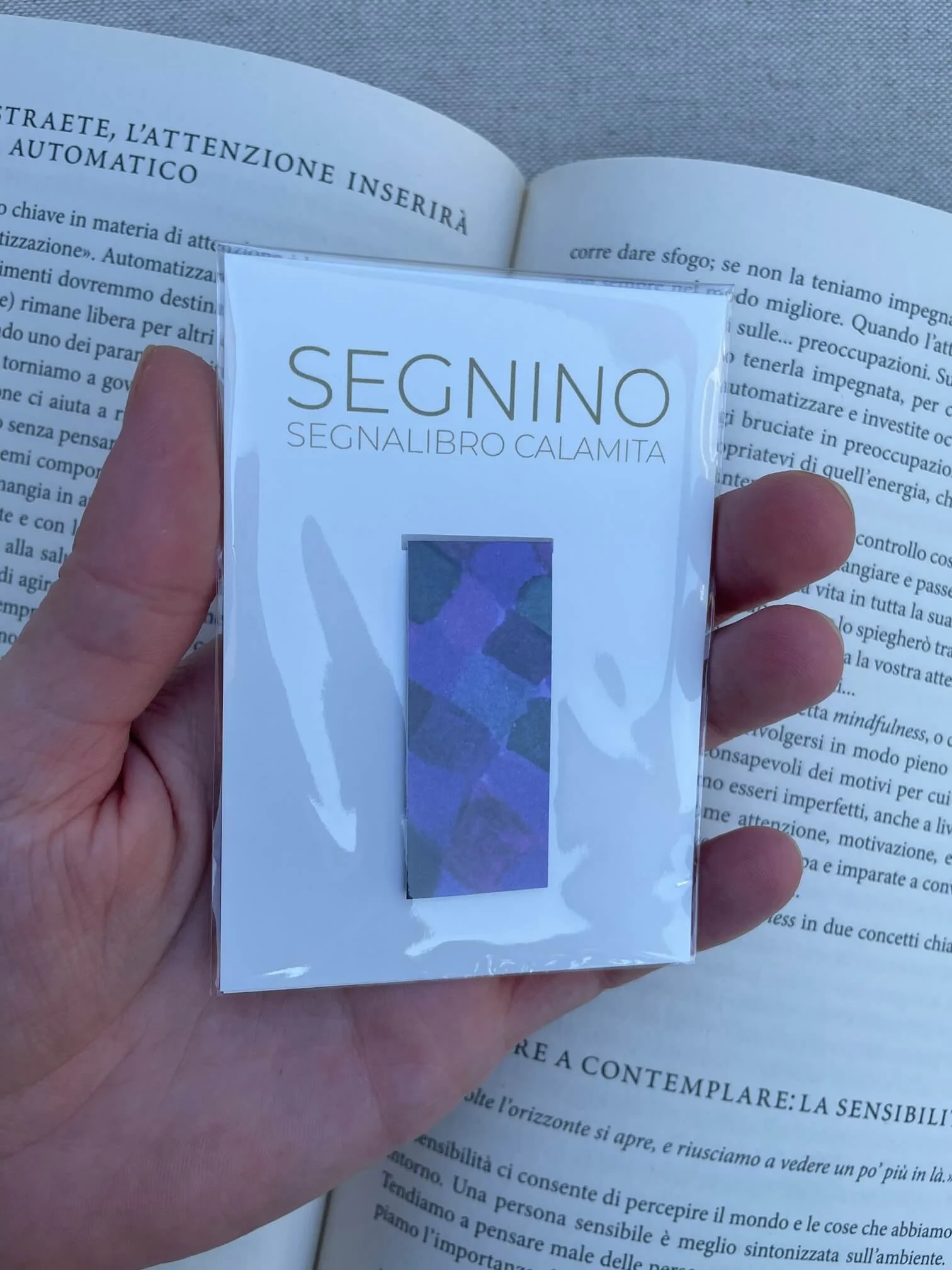 SEGNINO PICCOLO viola