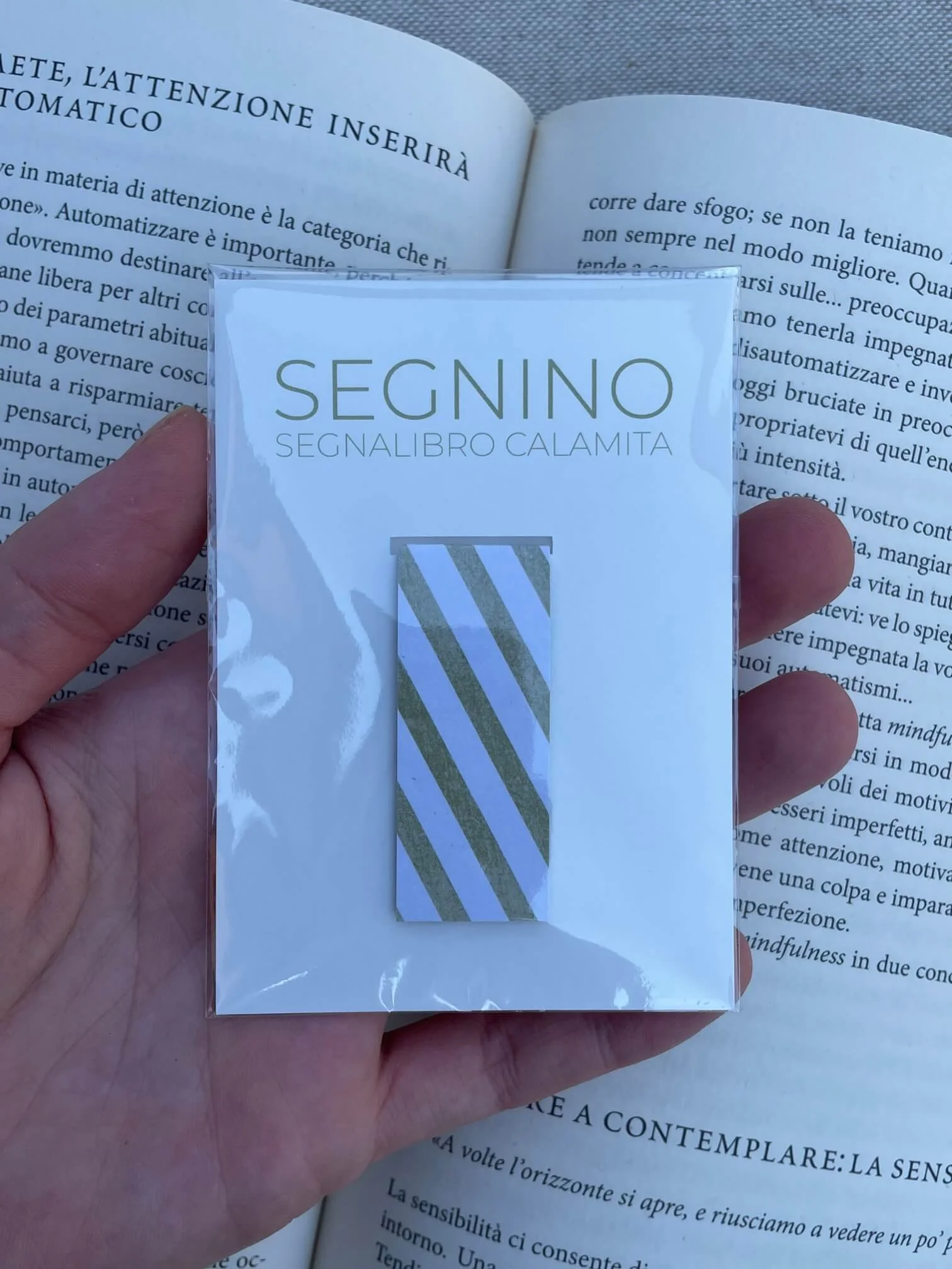 SEGNINO PICCOLO righe verdi