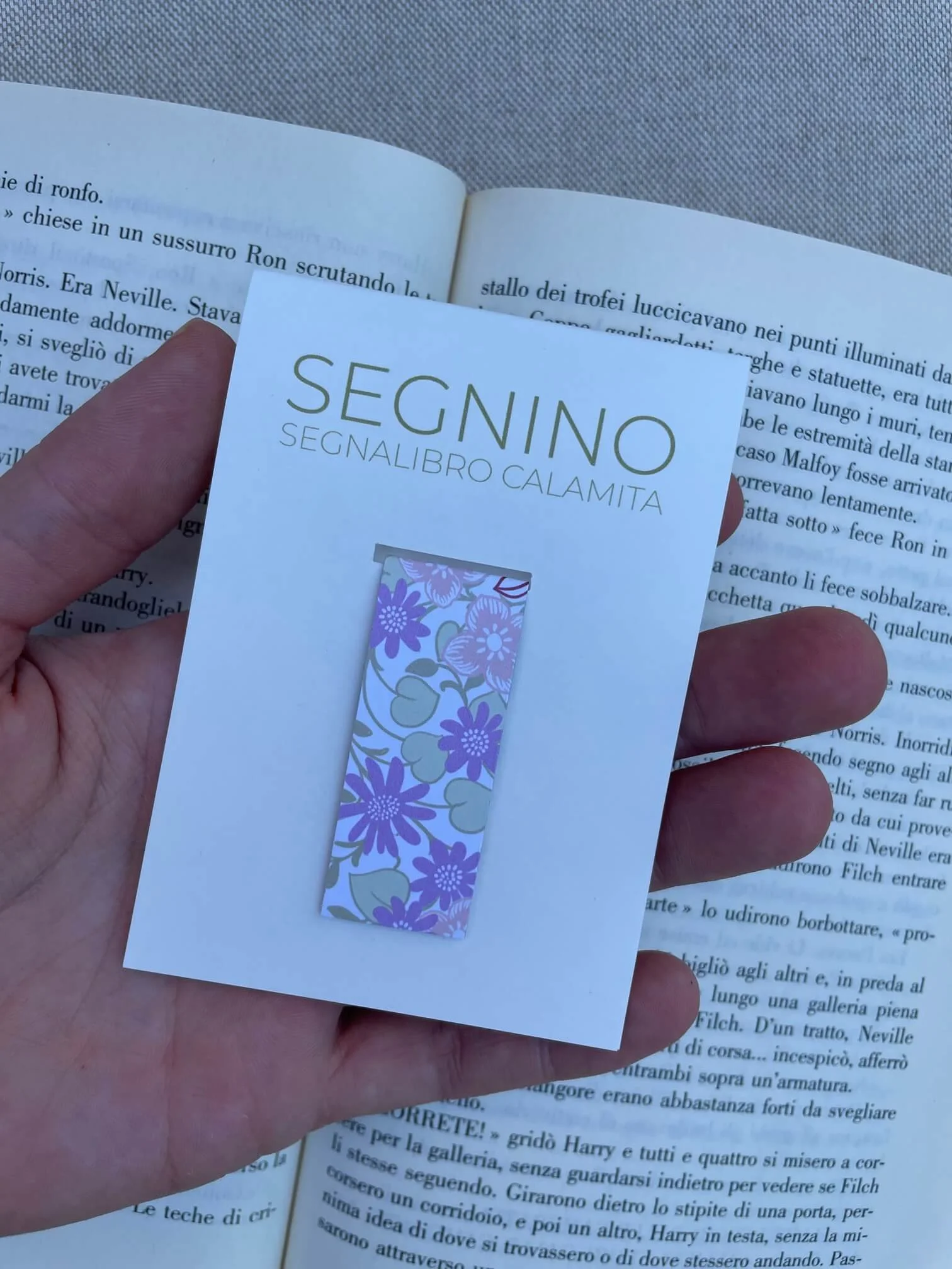 SEGNINO PICCOLO giardino 2