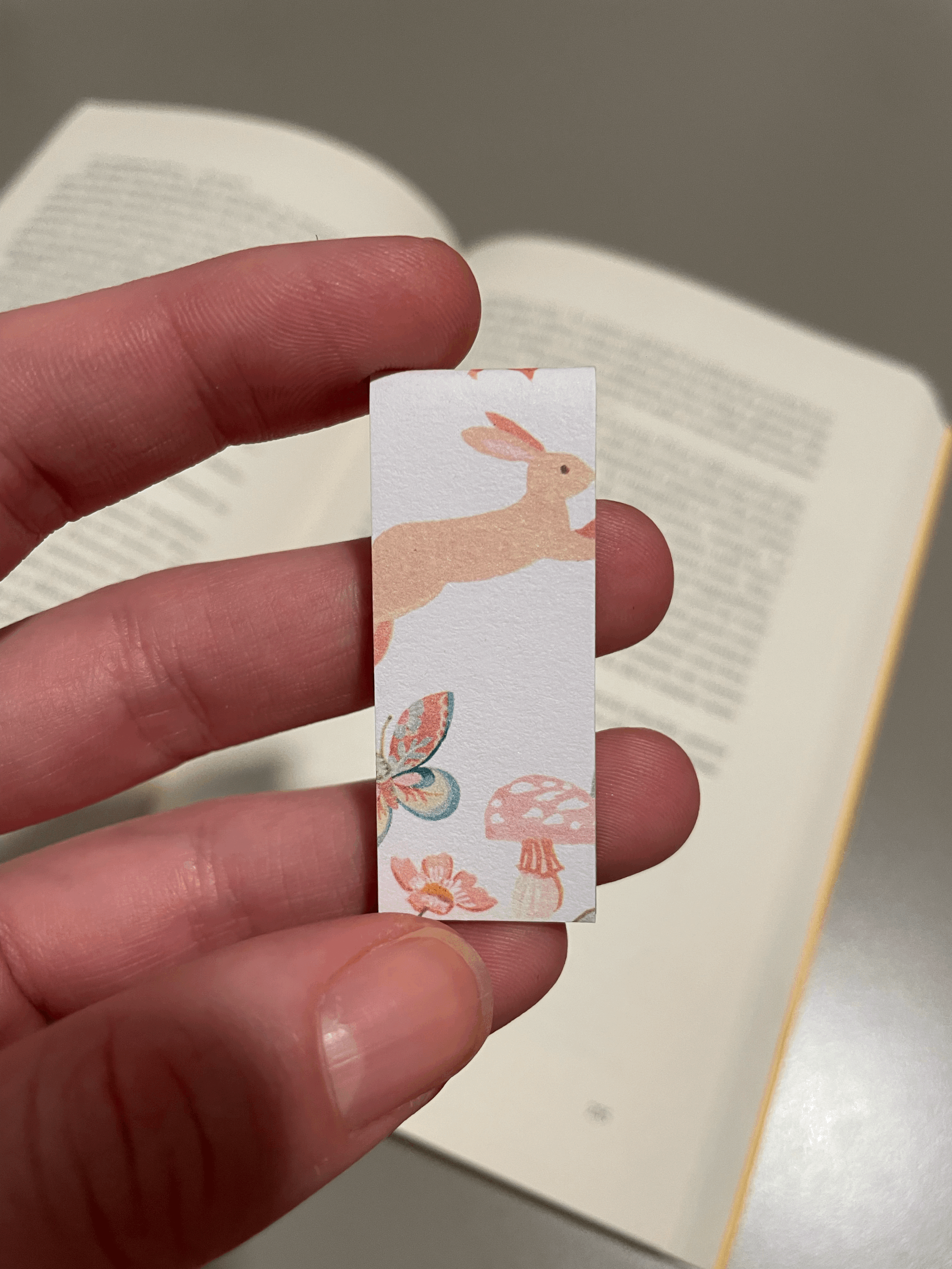 SEGNINO PICCOLO coniglio