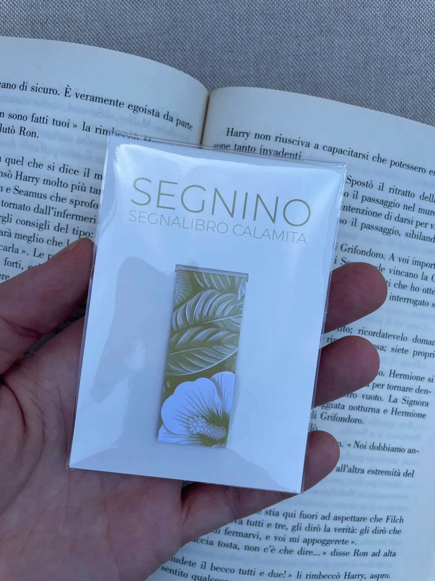 SEGNINO PICCOLO ibisco