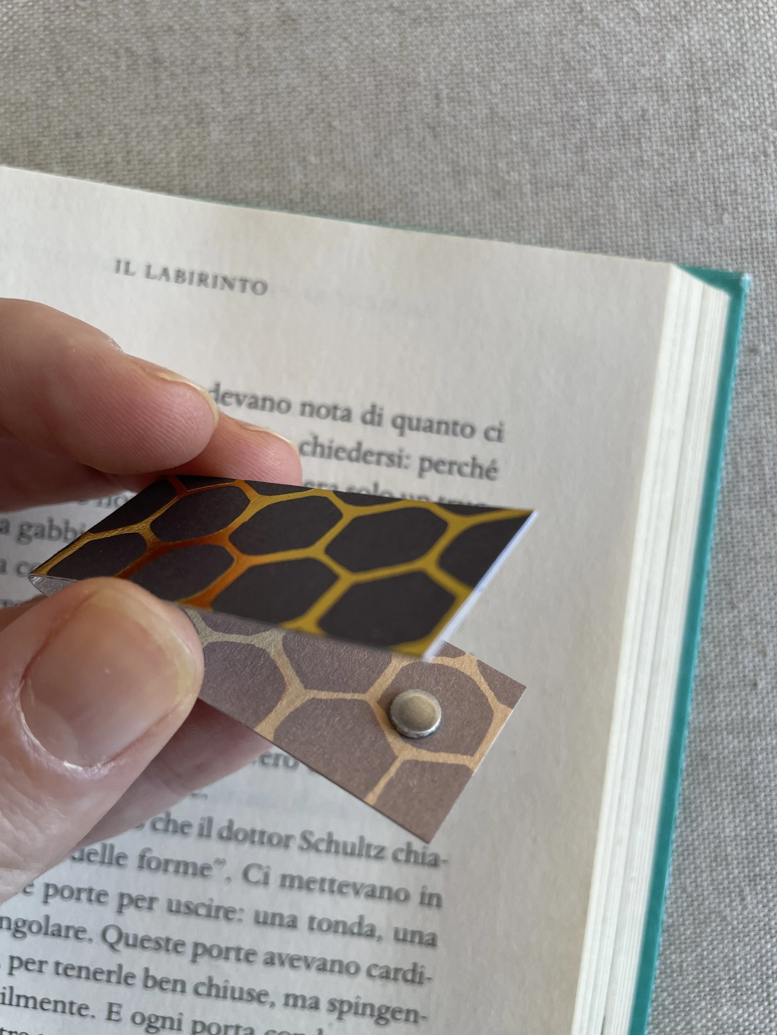 Foto 08-12-25, 11 37 47.jpg