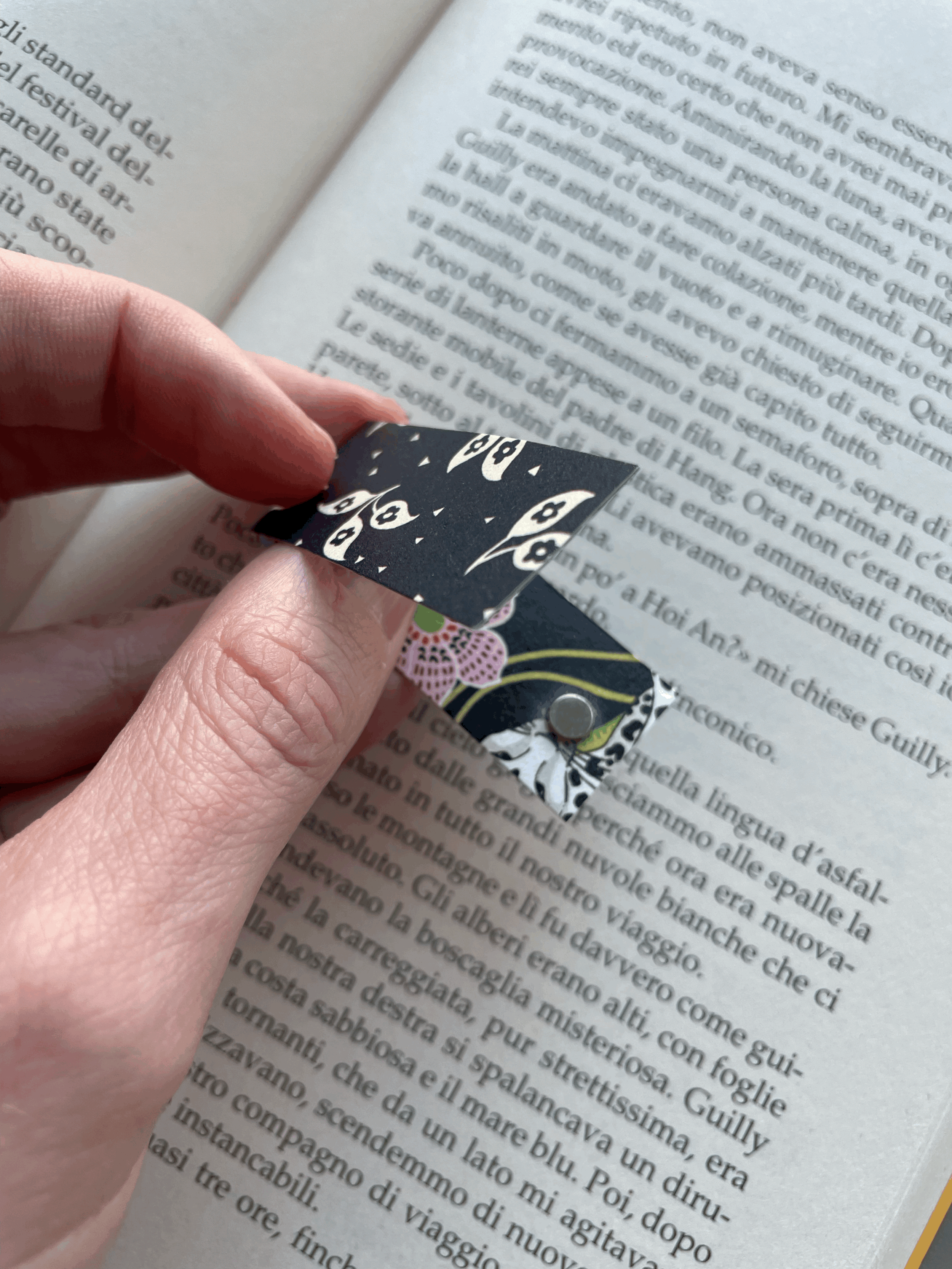 SEGNINO PICCOLO scuro 3