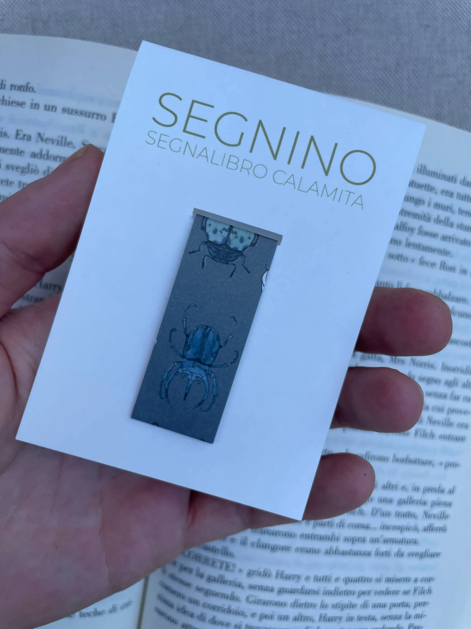 SEGNINO PICCOLO insetti