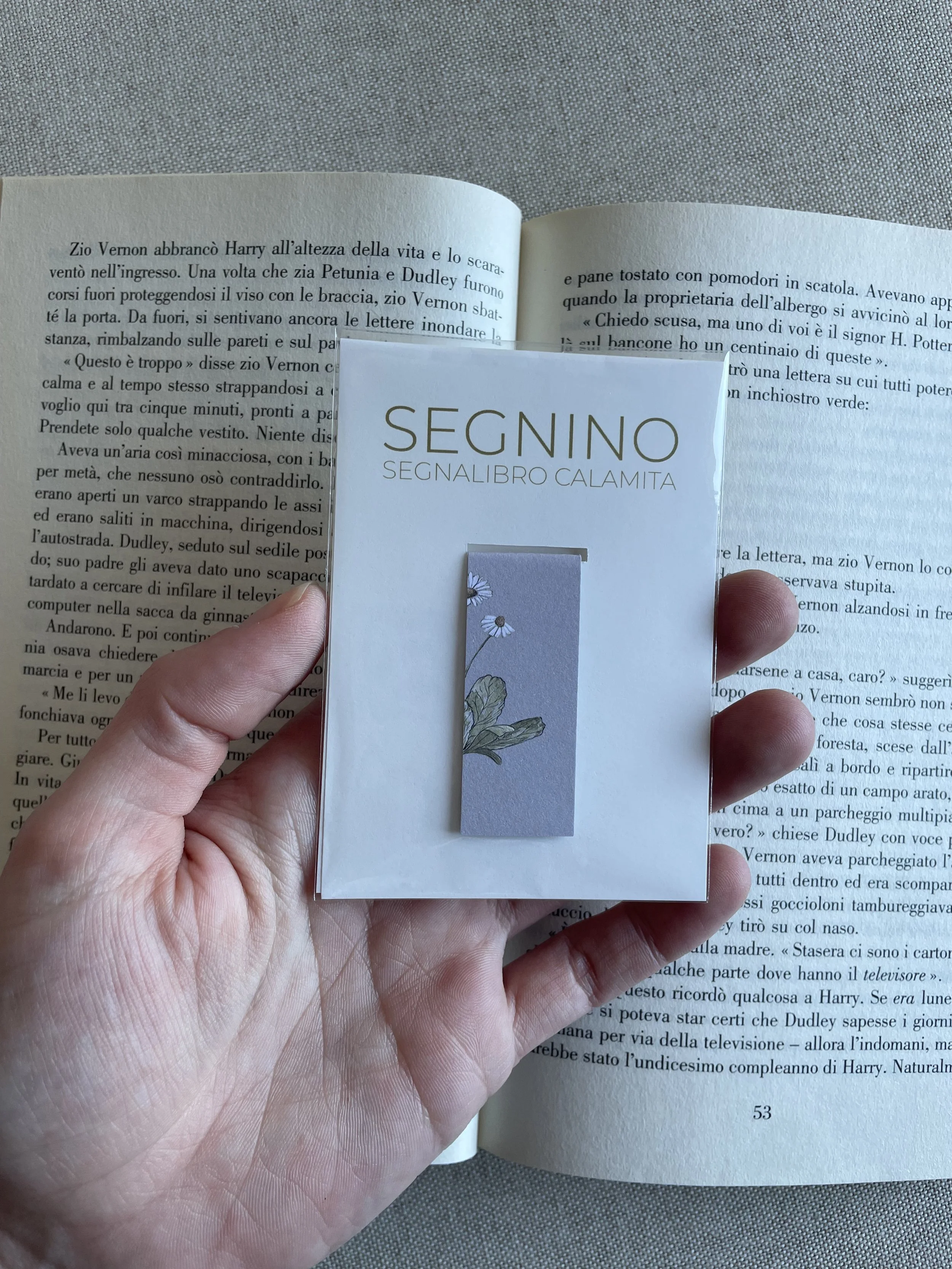 SEGNINO PICCOLO margherite