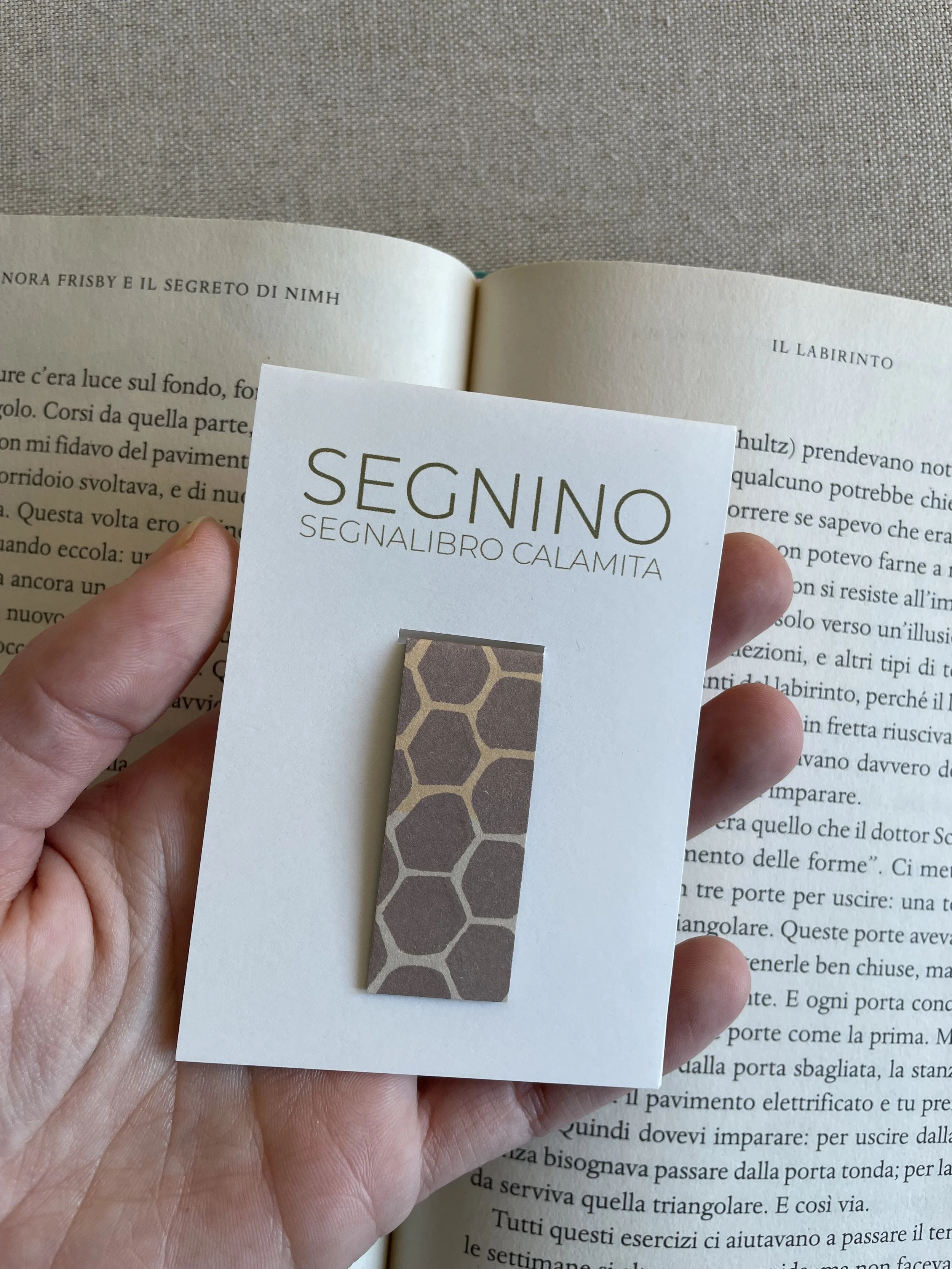 Foto 08-12-25, 12 08 23.jpg