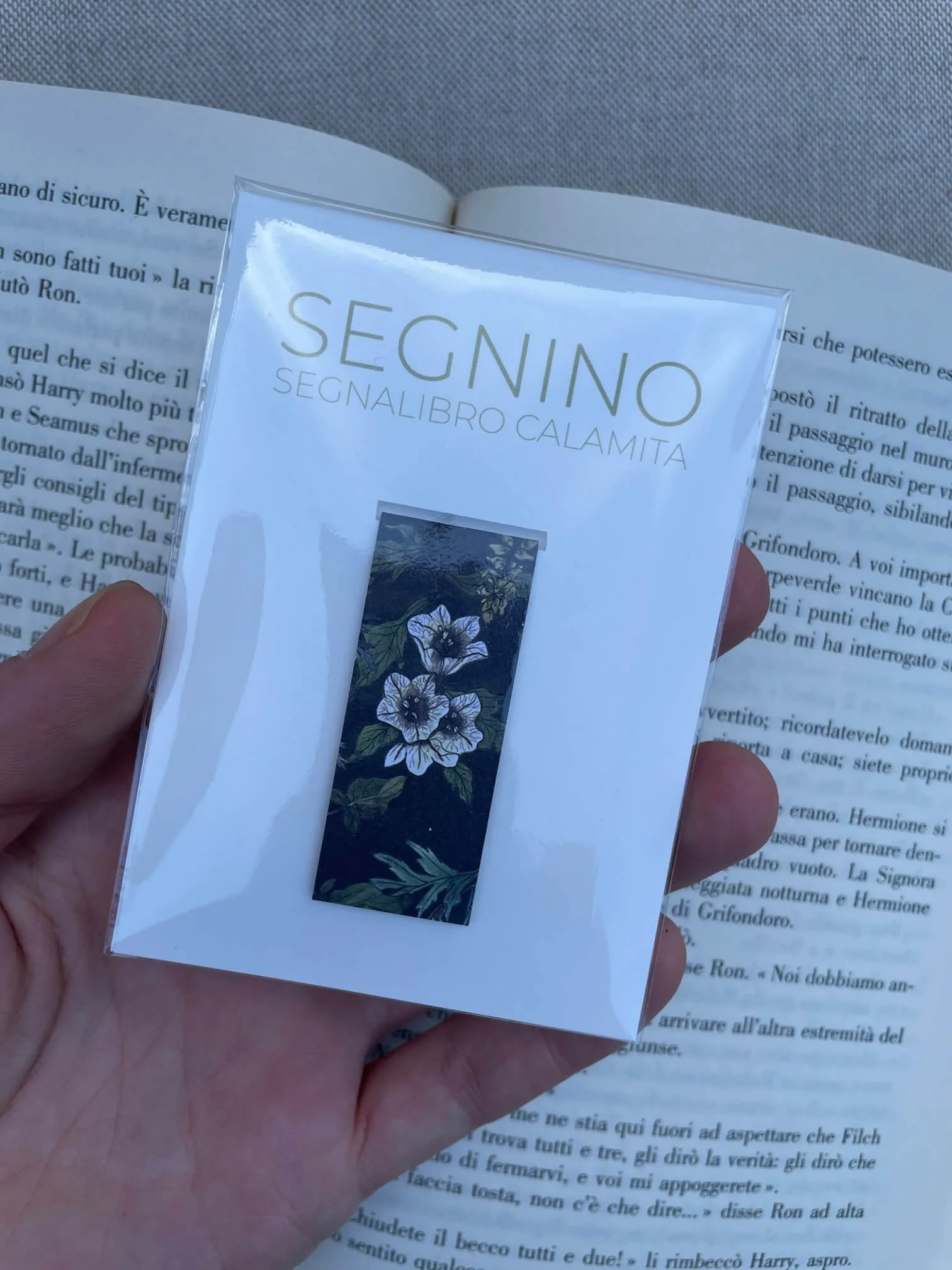 SEGNINO PICCOLO scuro
