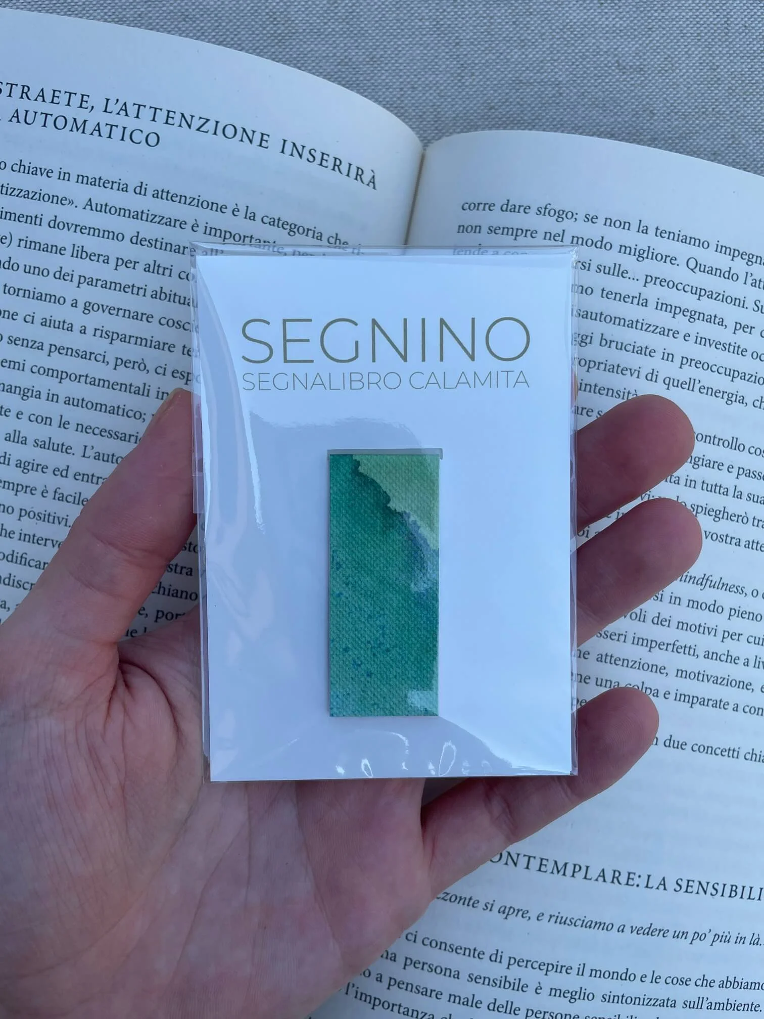 SEGNINO PICCOLO verde telato