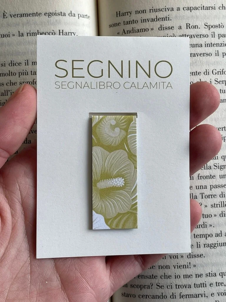 SEGNINO PICCOLO hibiscus 2