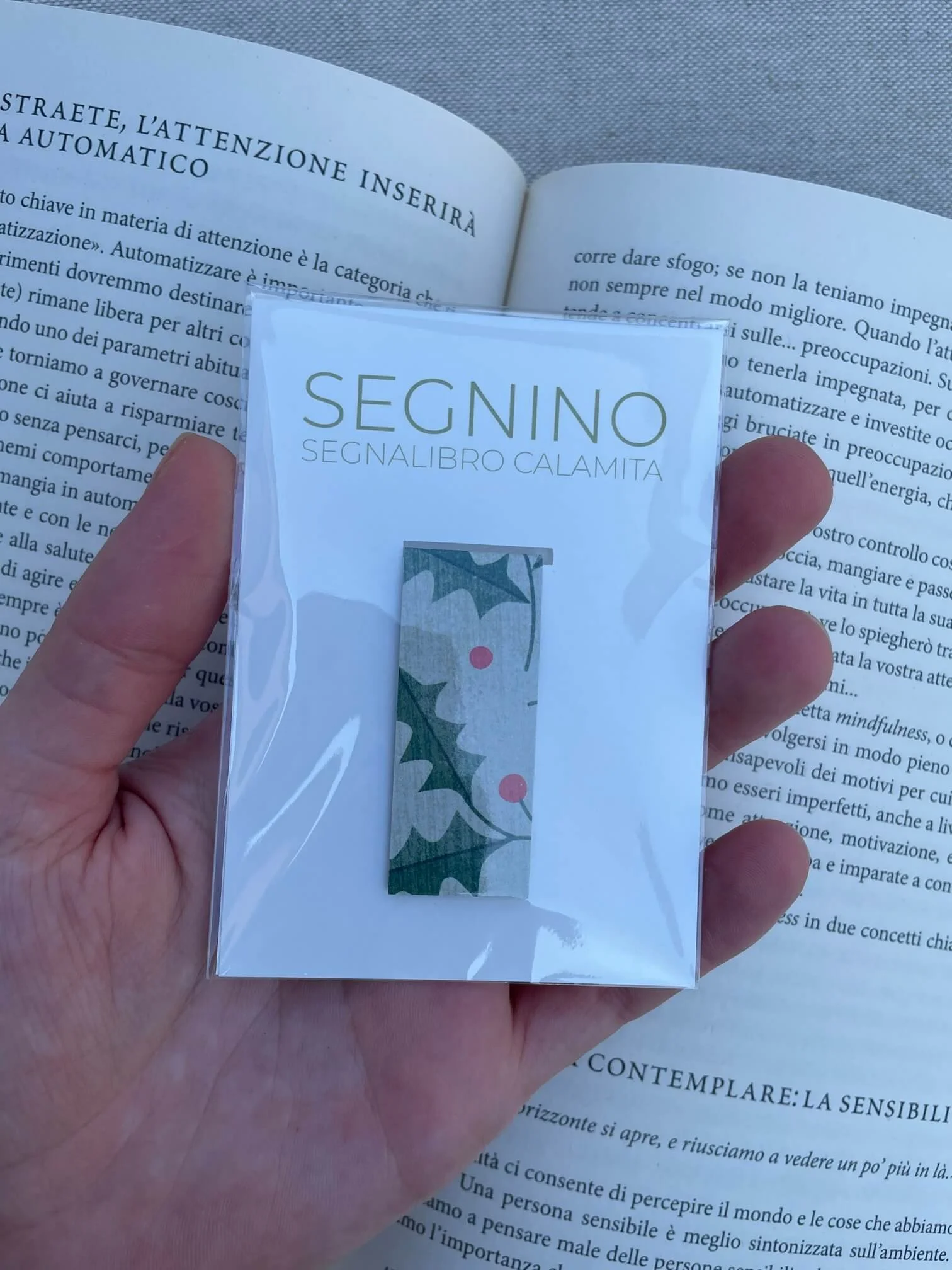 SEGNINO PICCOLO agrifoglio