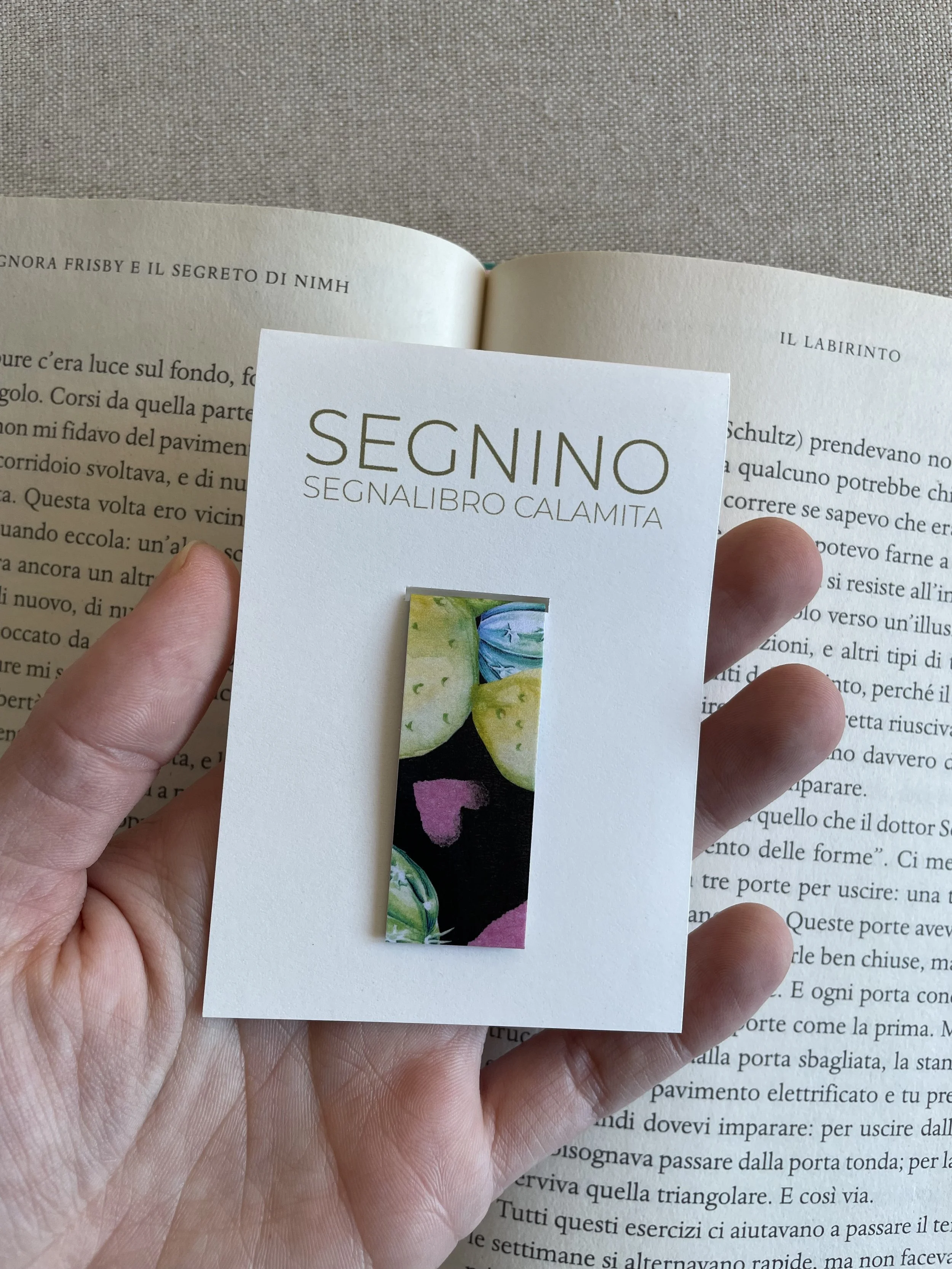 Foto 08-12-25, 11 54 08.jpg