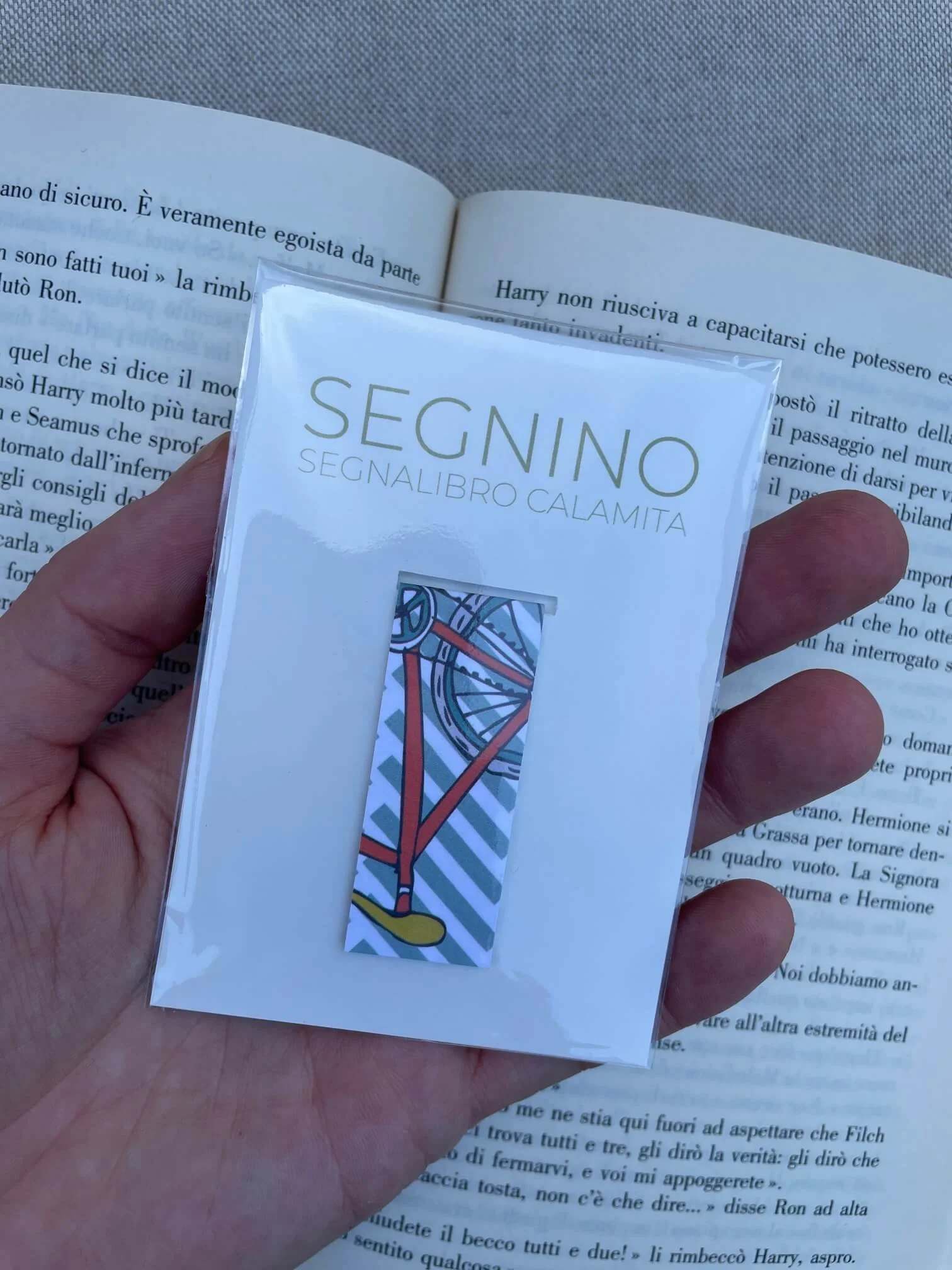 SEGNINO PICCOLO bici