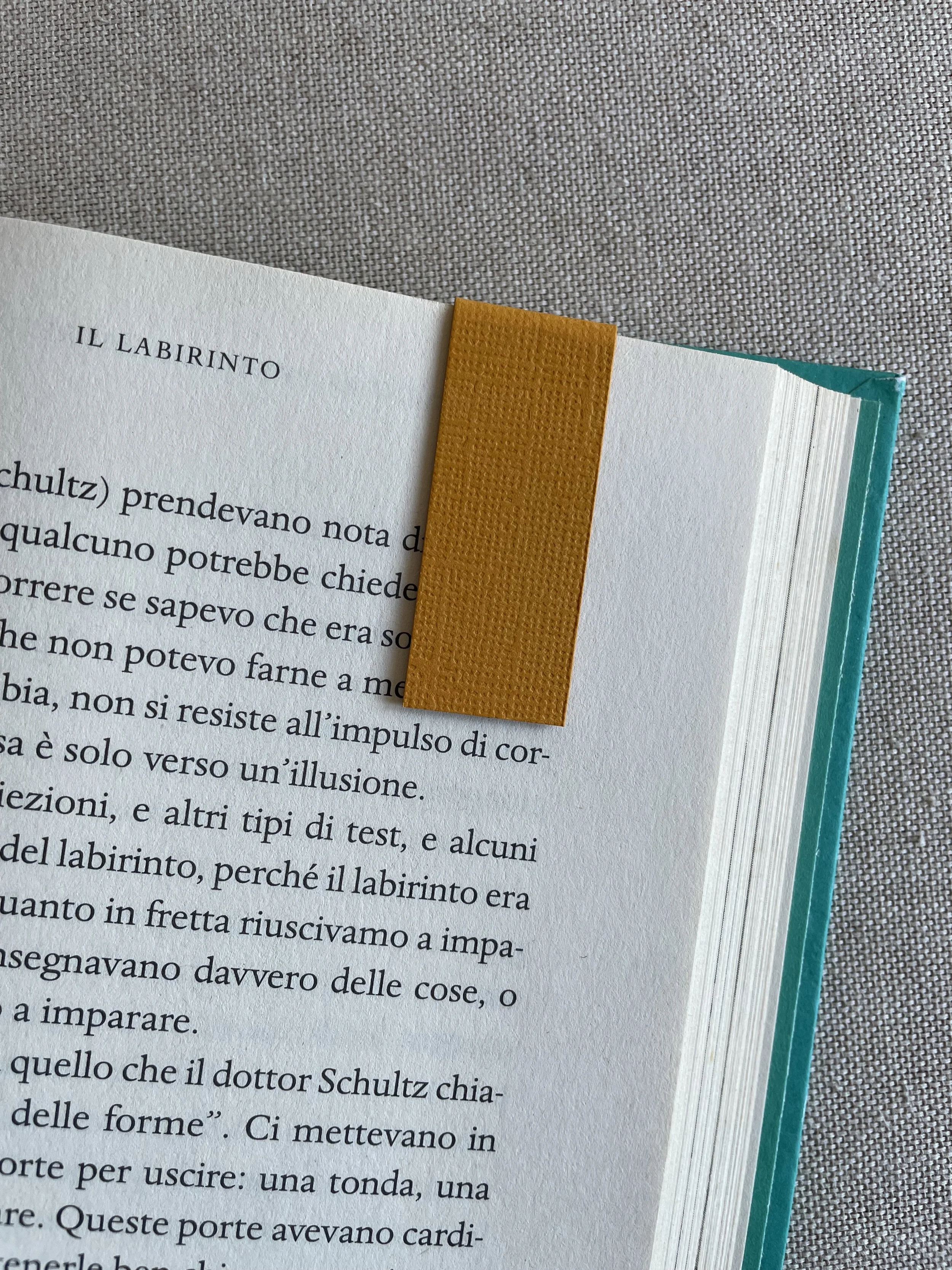 Foto 08-12-25, 11 00 31.jpg