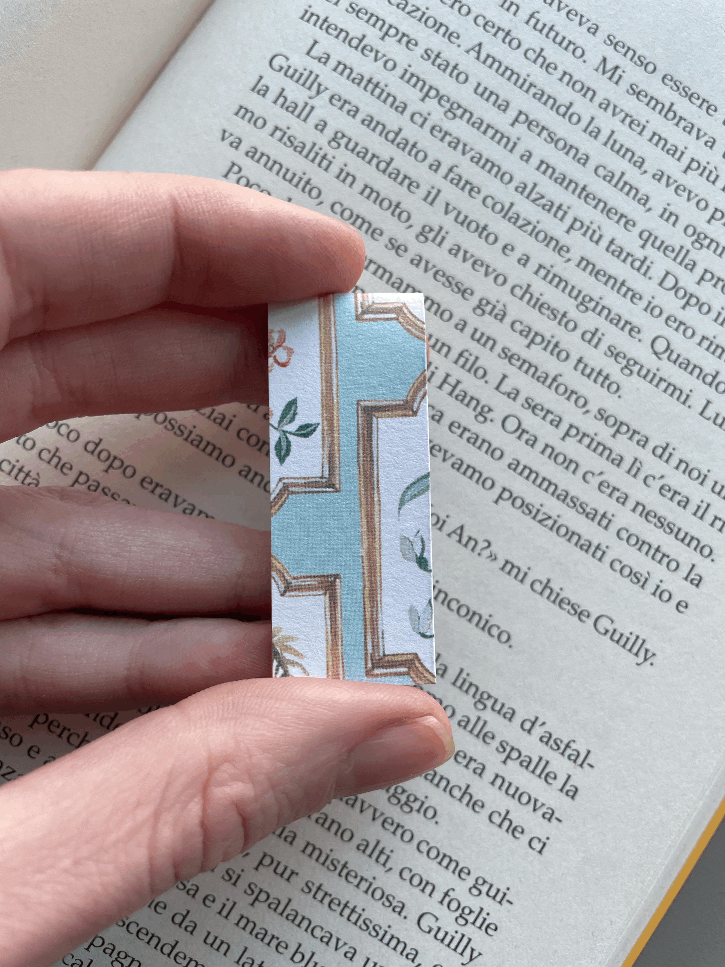 SEGNINO PICCOLO cornici 4