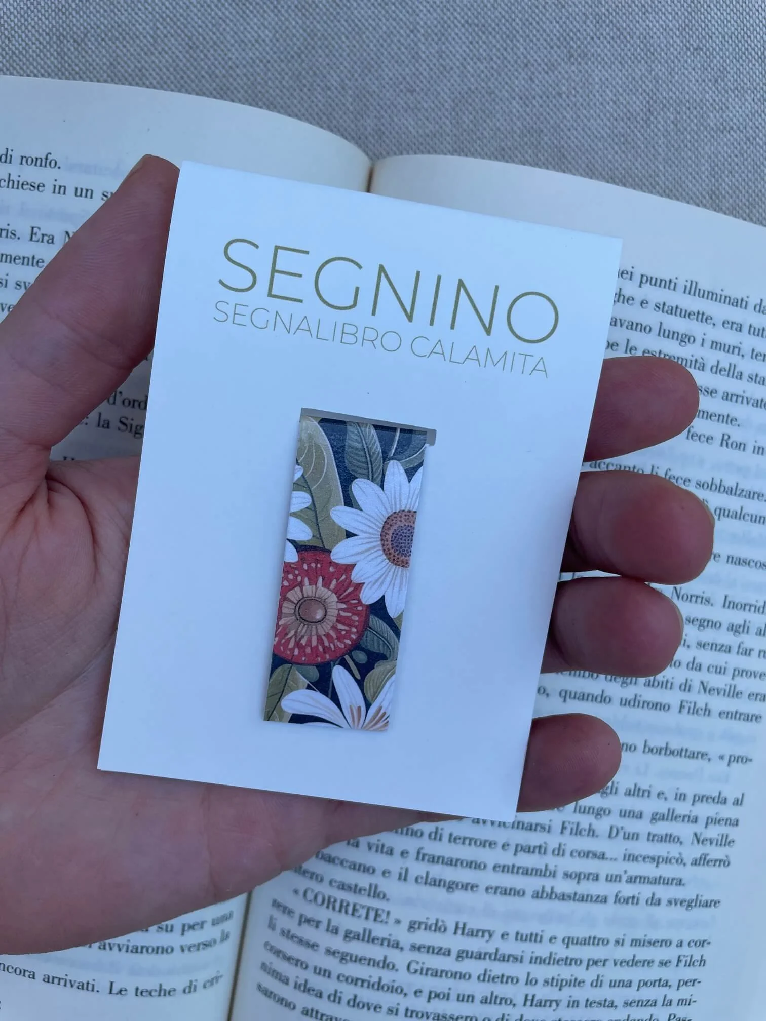 SEGNINO PICCOLO frutta plastificato