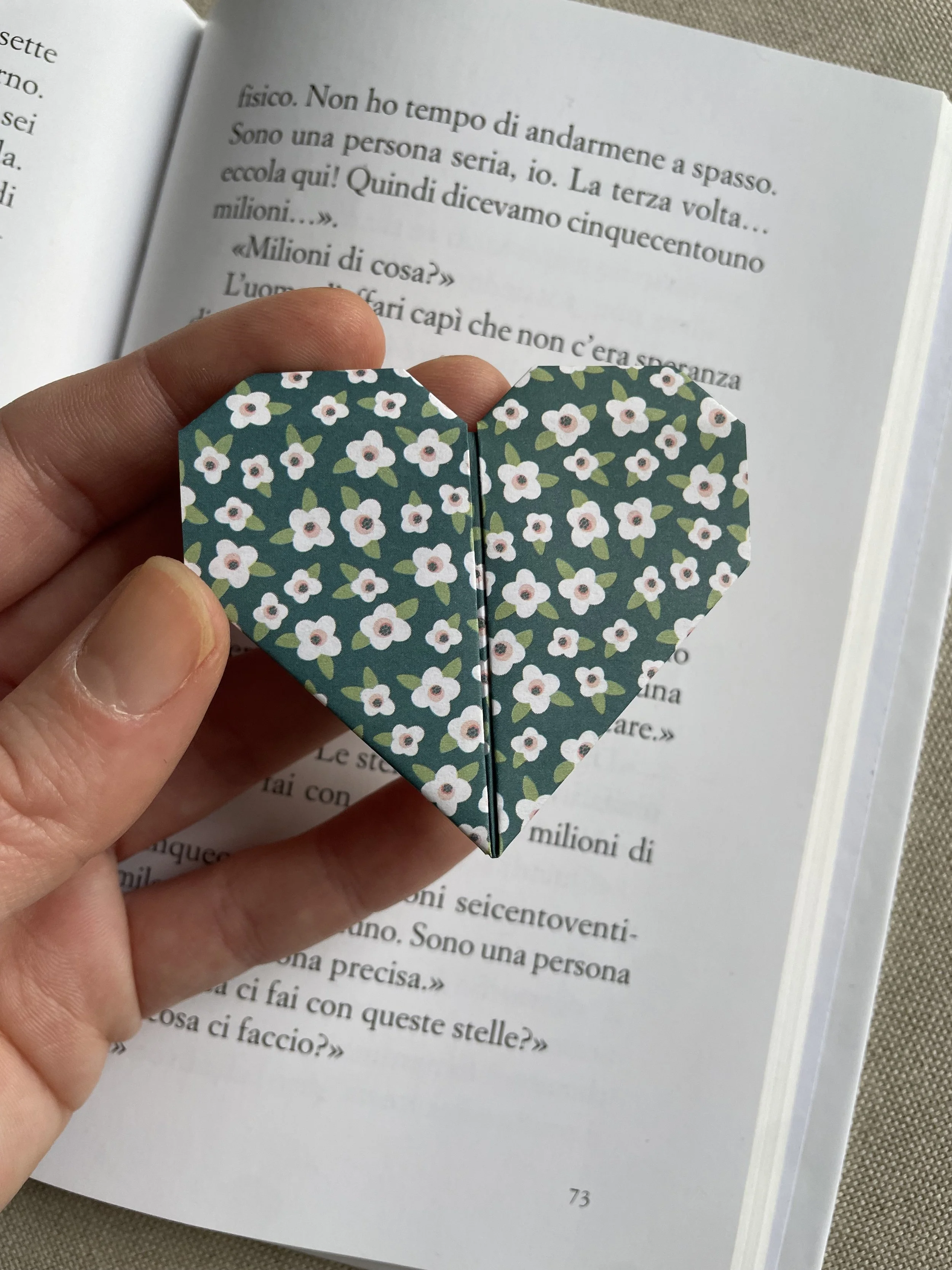 Foto 17-12-25, 10 31 36.jpg (Copia) (Copia) (Copia) (Copia) (Copia)