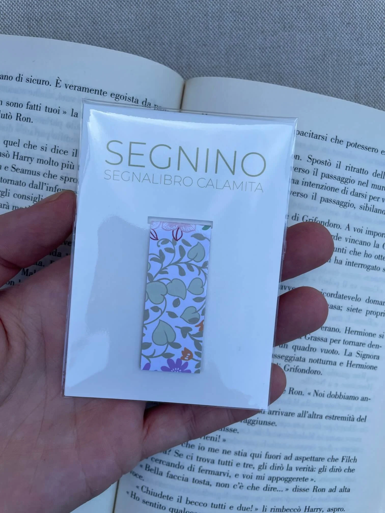 SEGNINO PICCOLO giardino 3