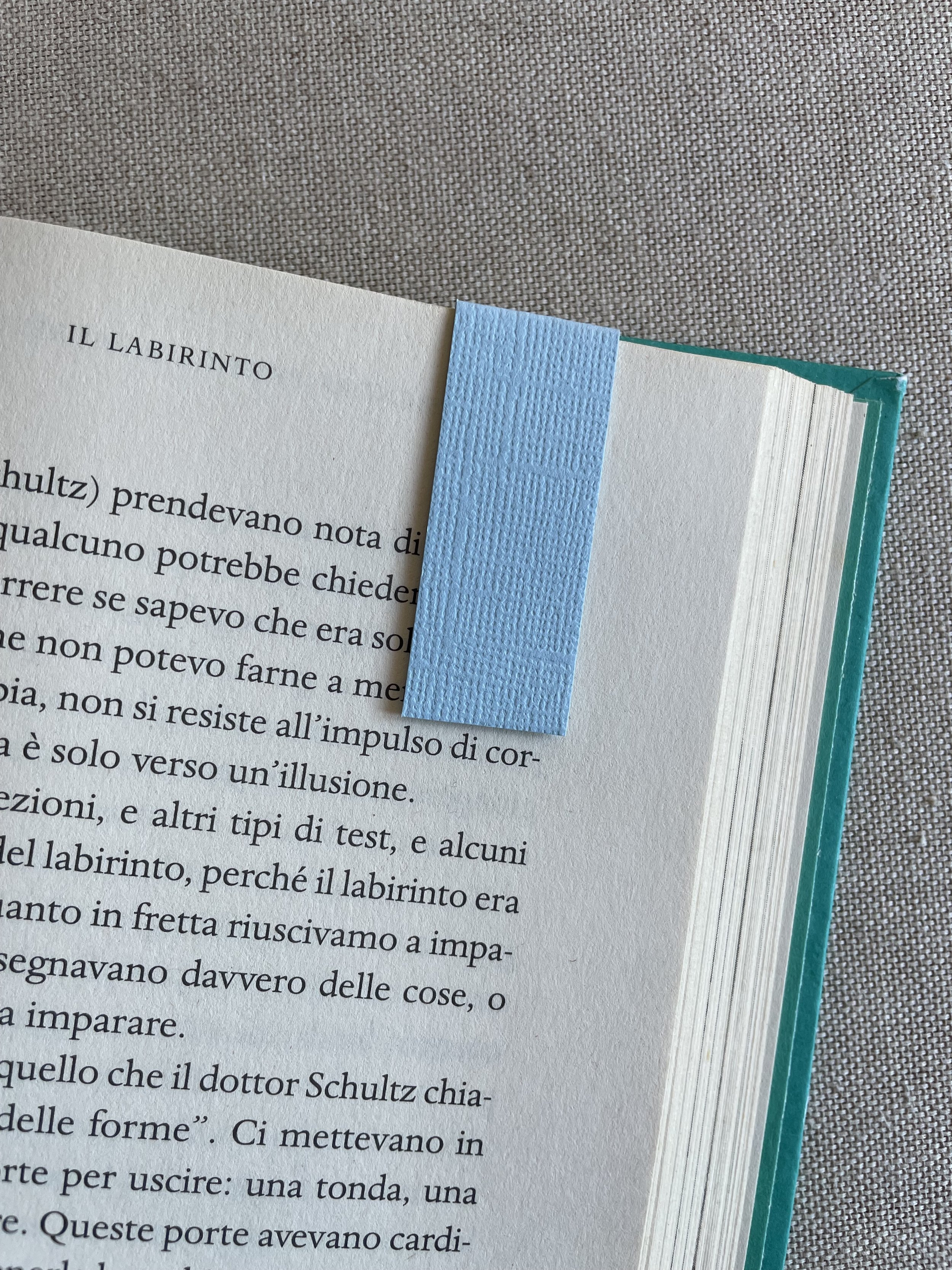 Foto 08-12-25, 11 03 08.jpg