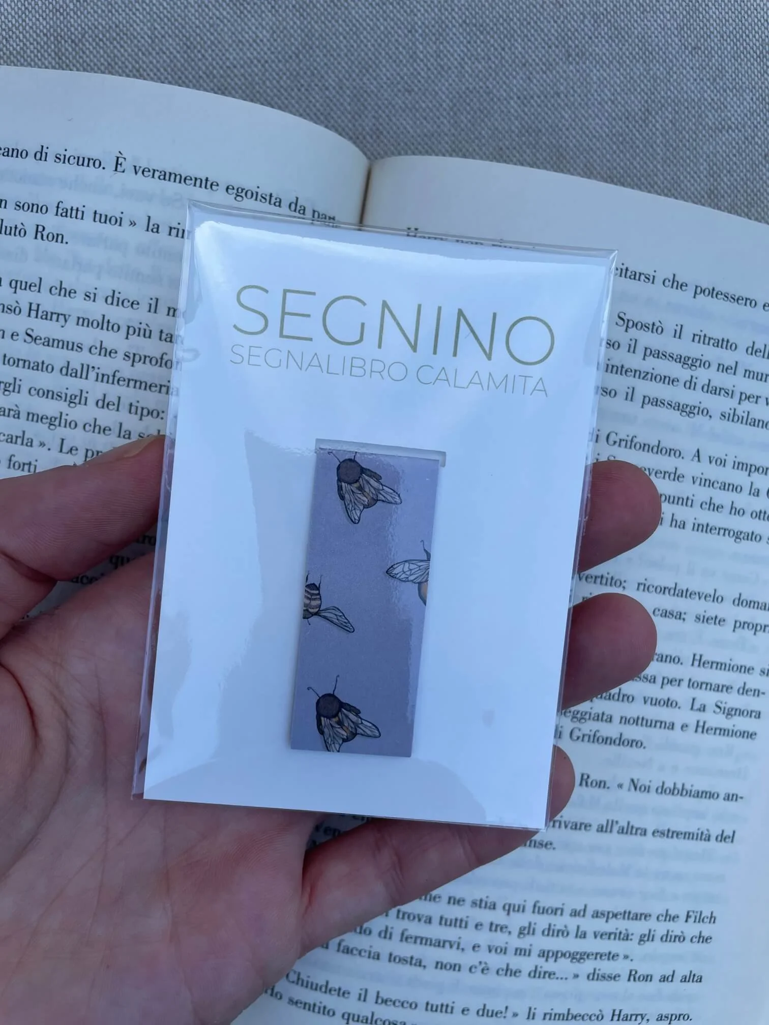 SEGNINO PICCOLO api