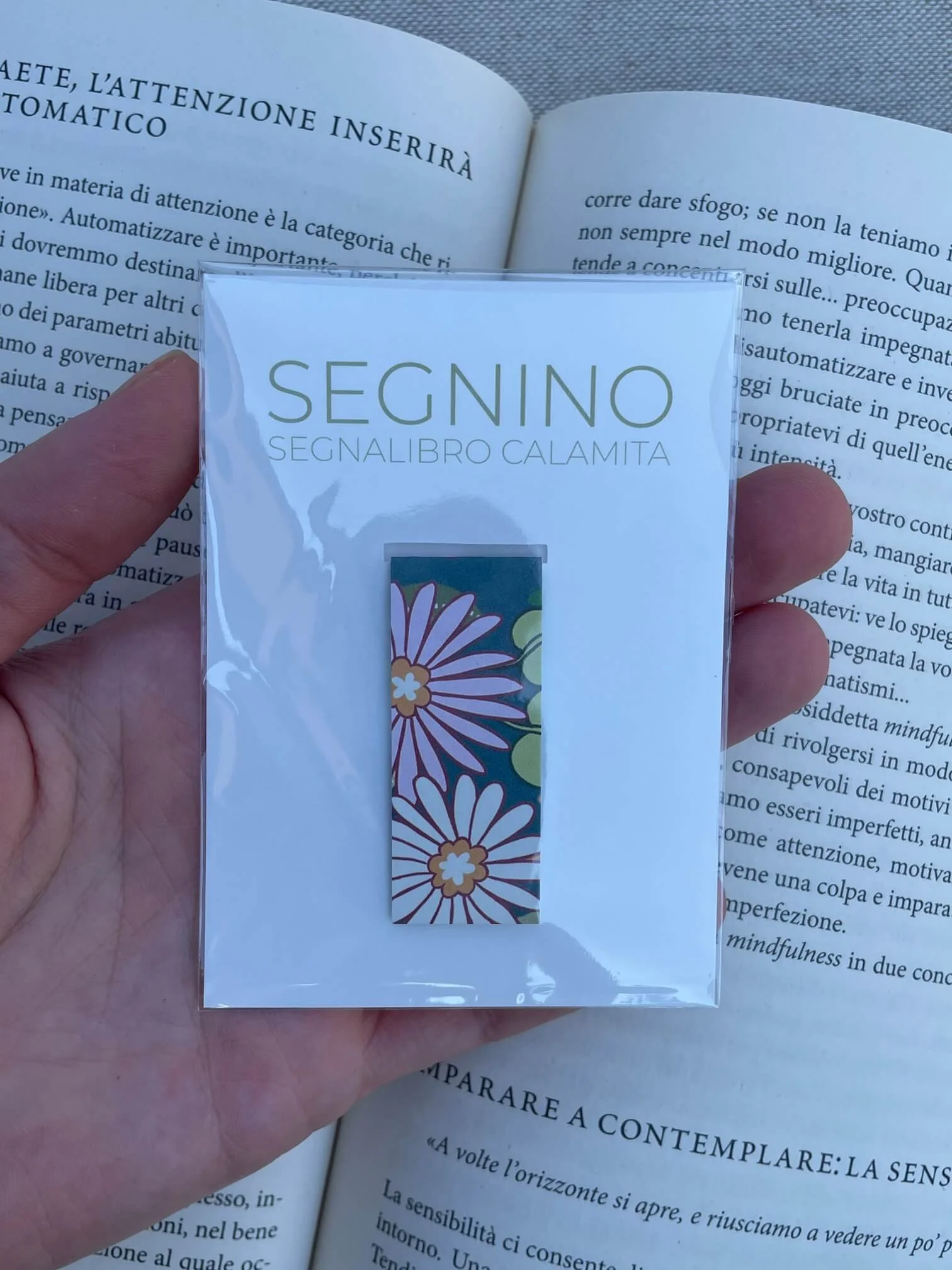 SEGNINO PICCOLO margherite