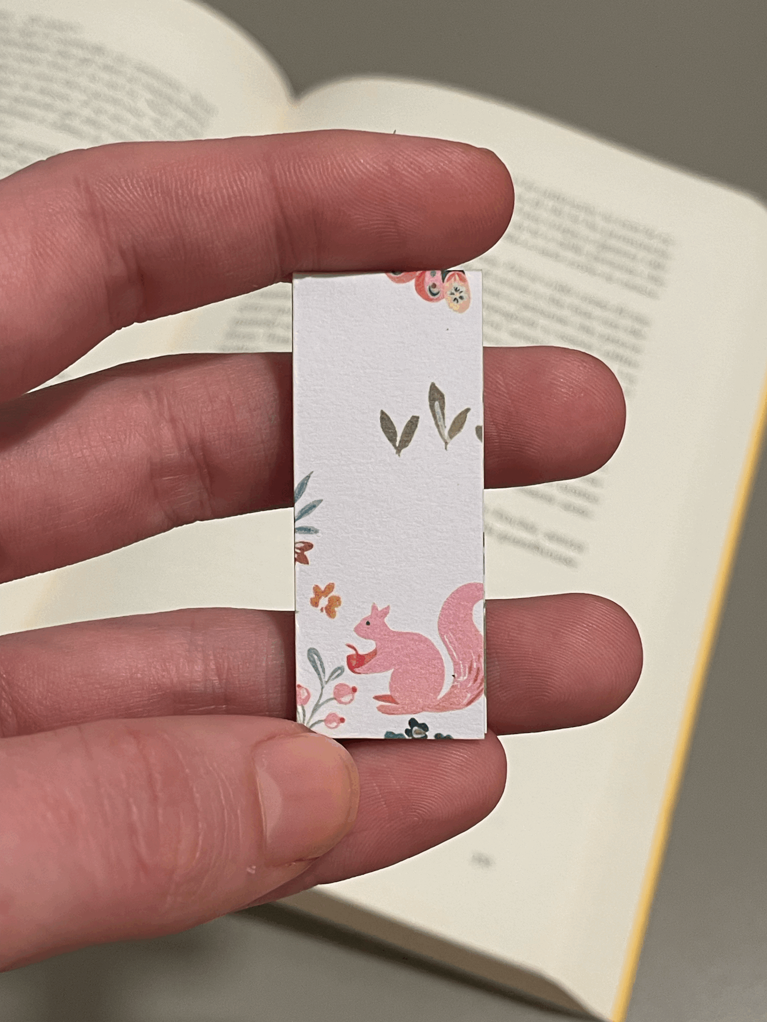 SEGNINO PICCOLO scoiattolo