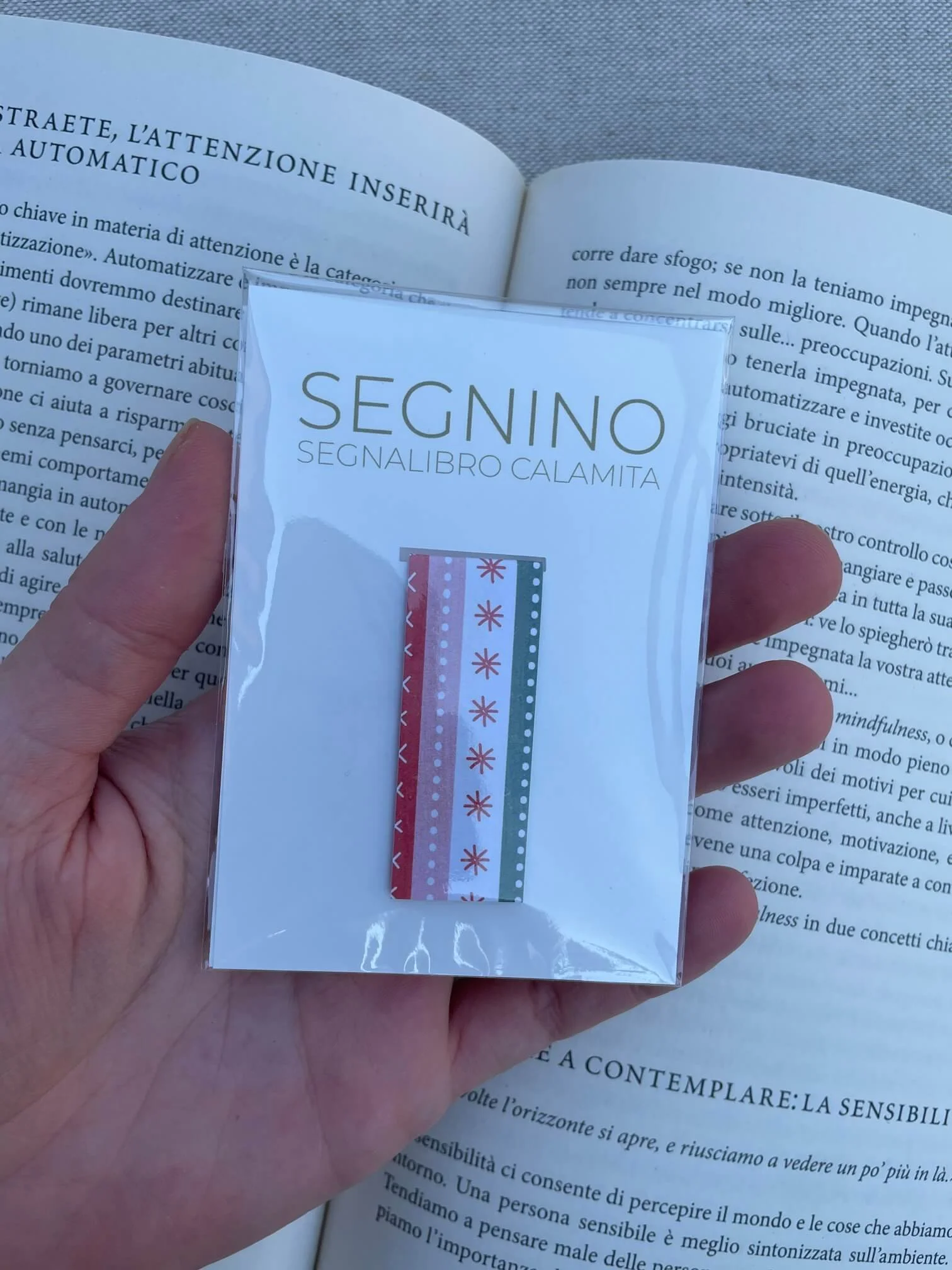 SEGNINO PICCOLO natale