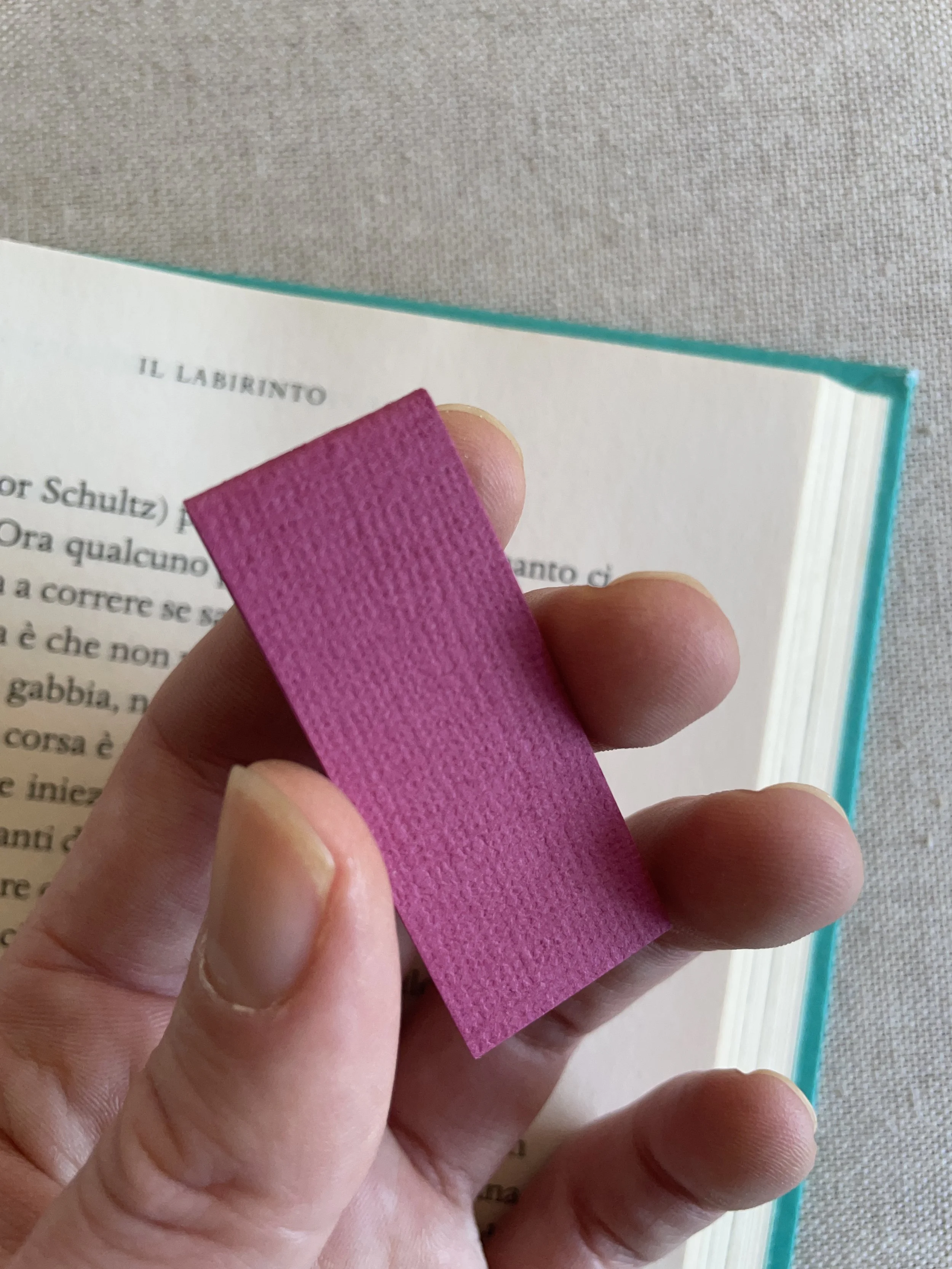 SEGNINO PICCOLO fucsia