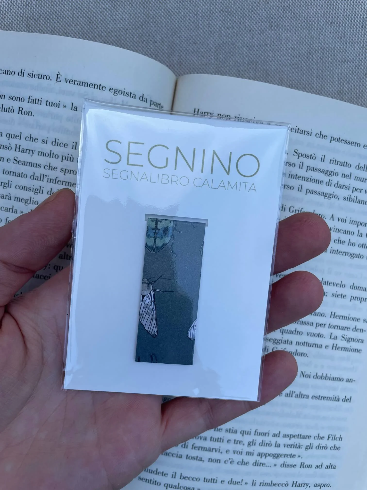 SEGNINO PICCOLO insetti 2