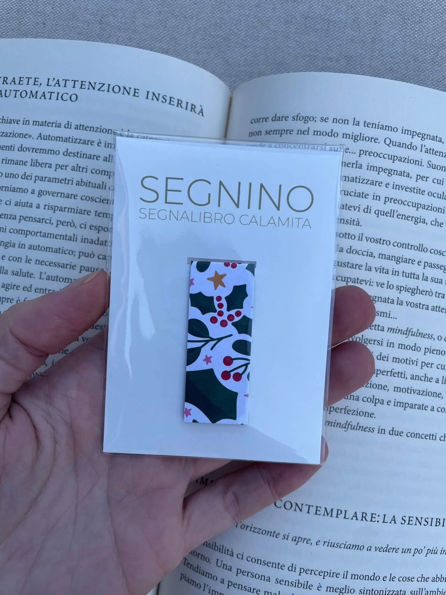 SEGNINO PICCOLO pungitopo