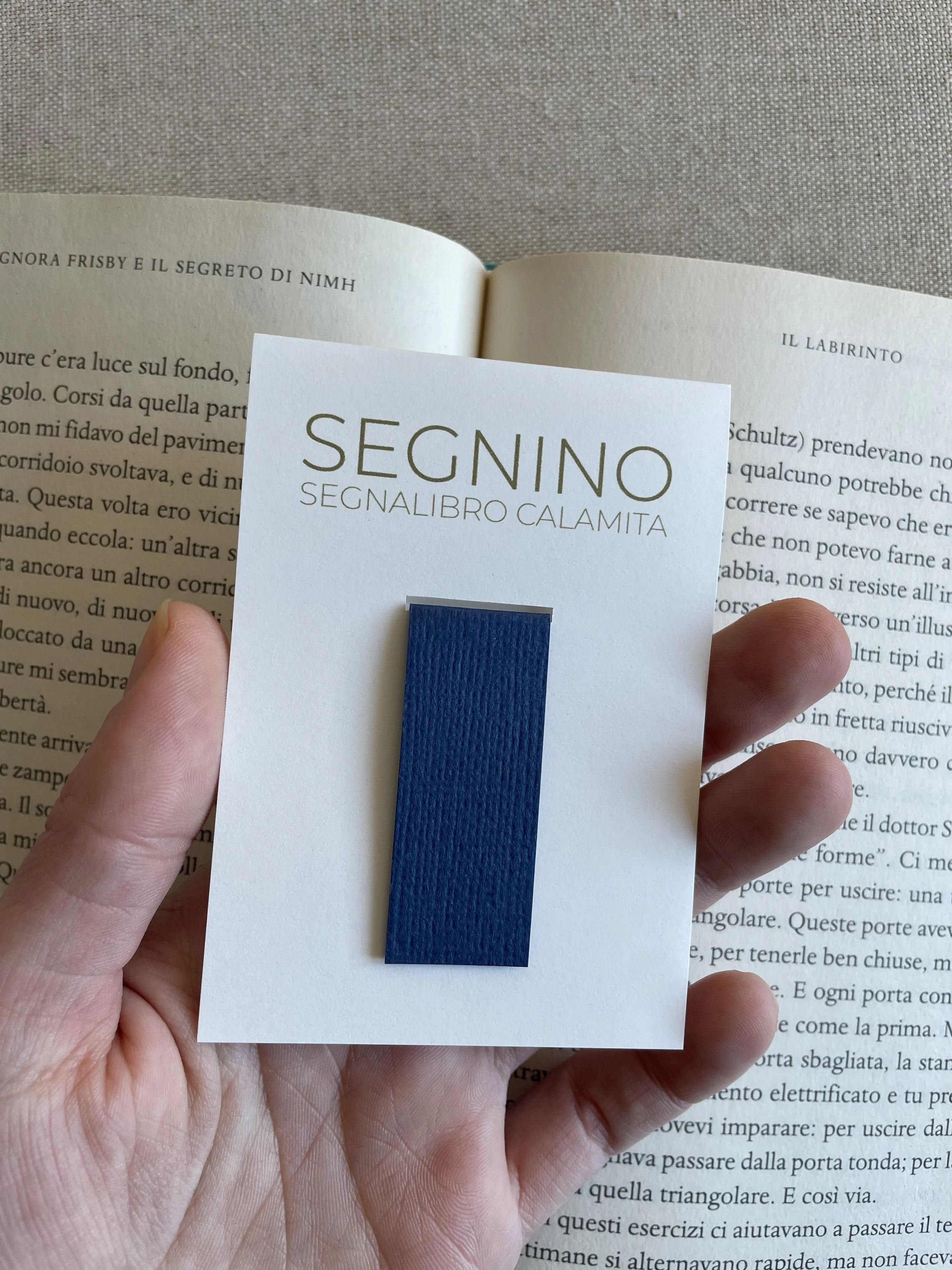 Foto 08-12-25, 11 53 22.jpg