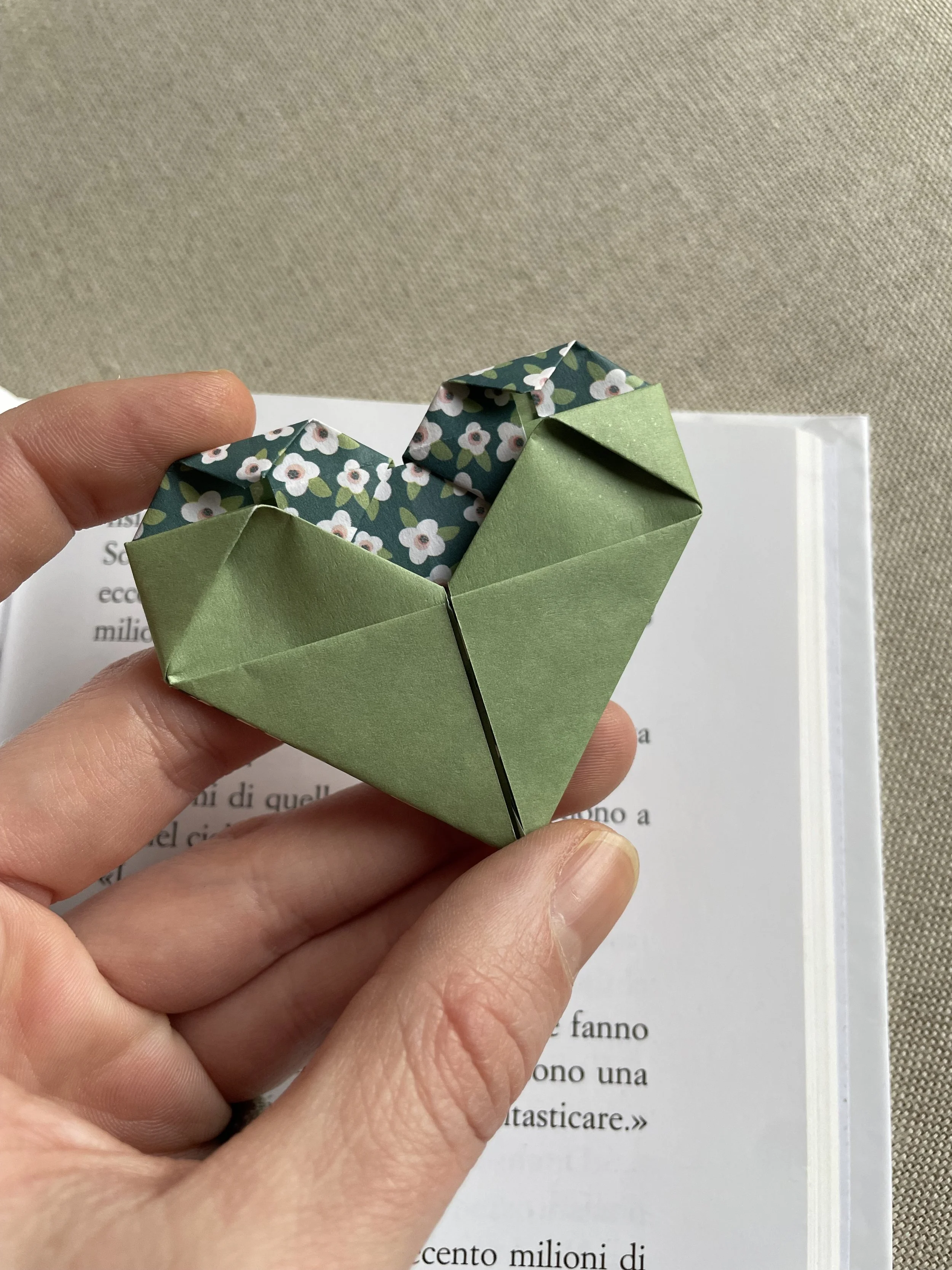 Foto 17-12-25, 10 31 19.jpg