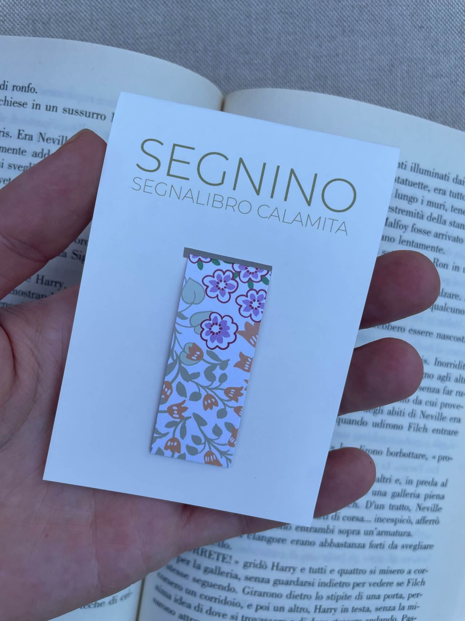 SEGNINO PICCOLO giardino
