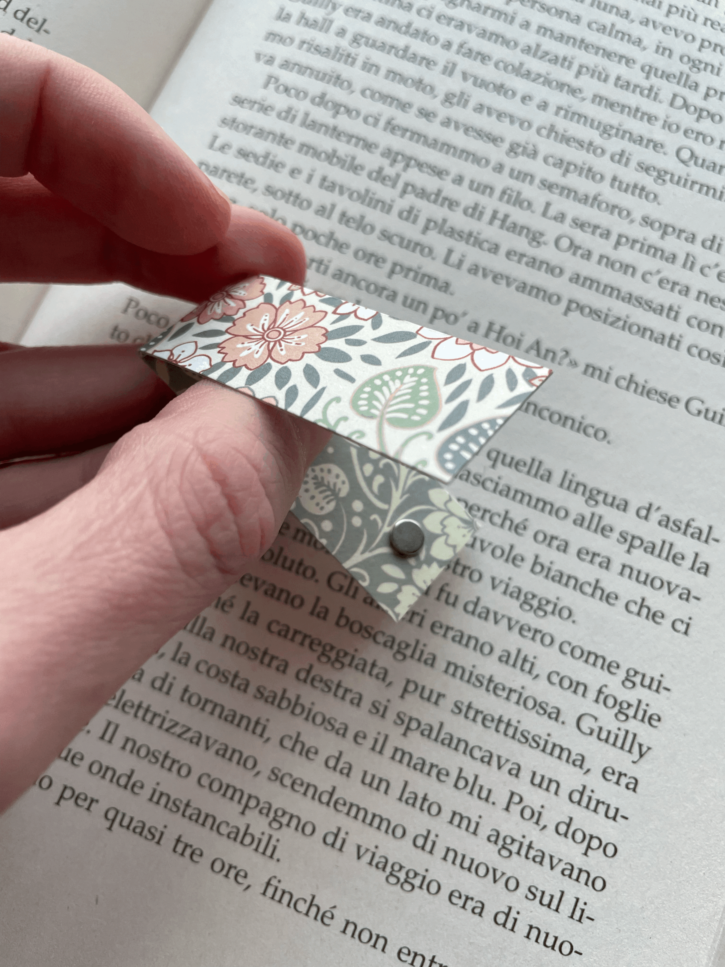 SEGNINO PICCOLO liberty chiaro 4