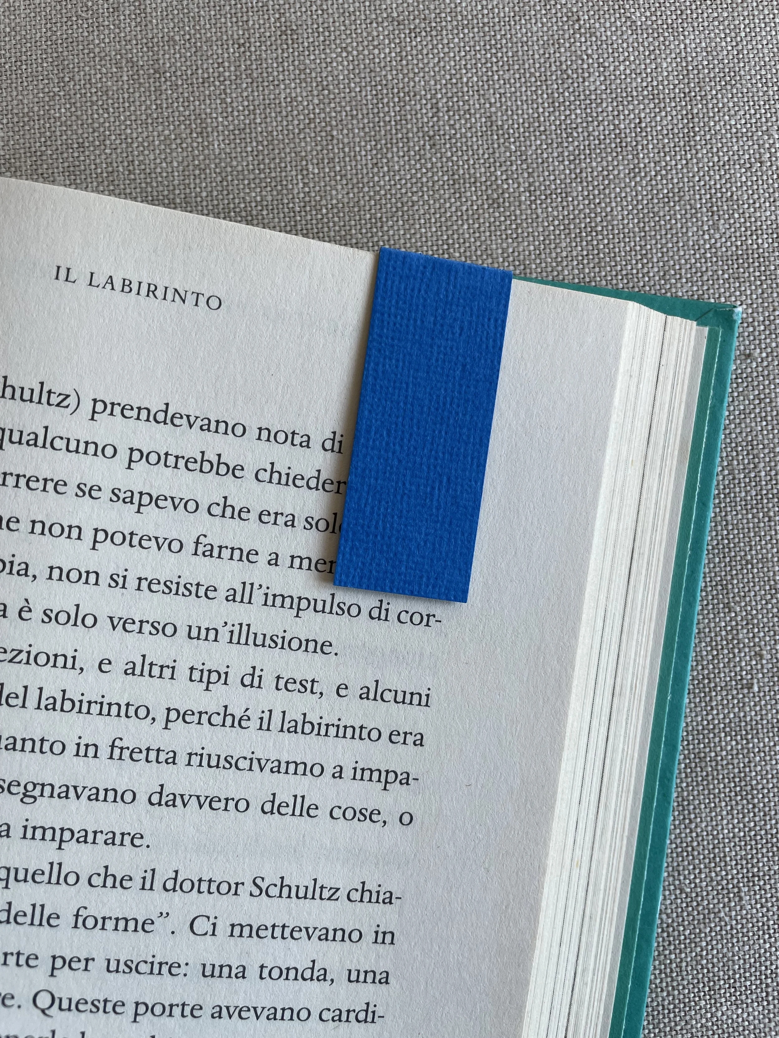 Foto 08-12-25, 11 02 32.jpg