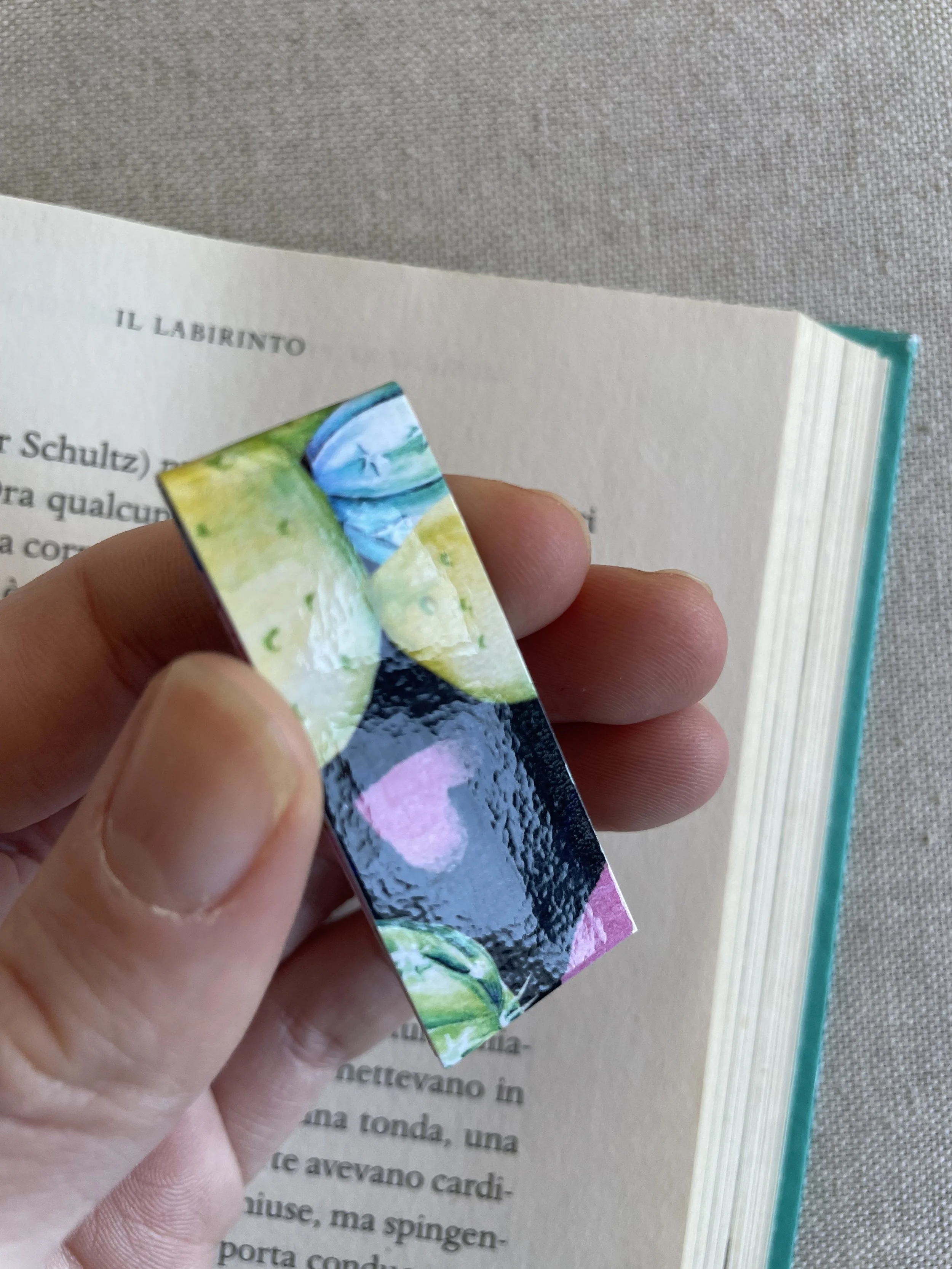 SEGNINO PICCOLO cactus