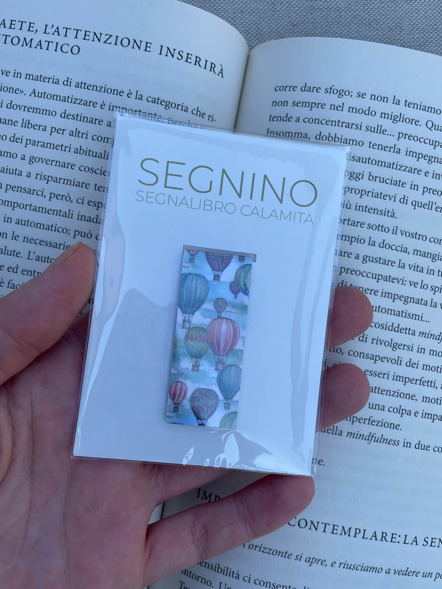 SEGNINO PICCOLO mongolfiere 2 plastificato