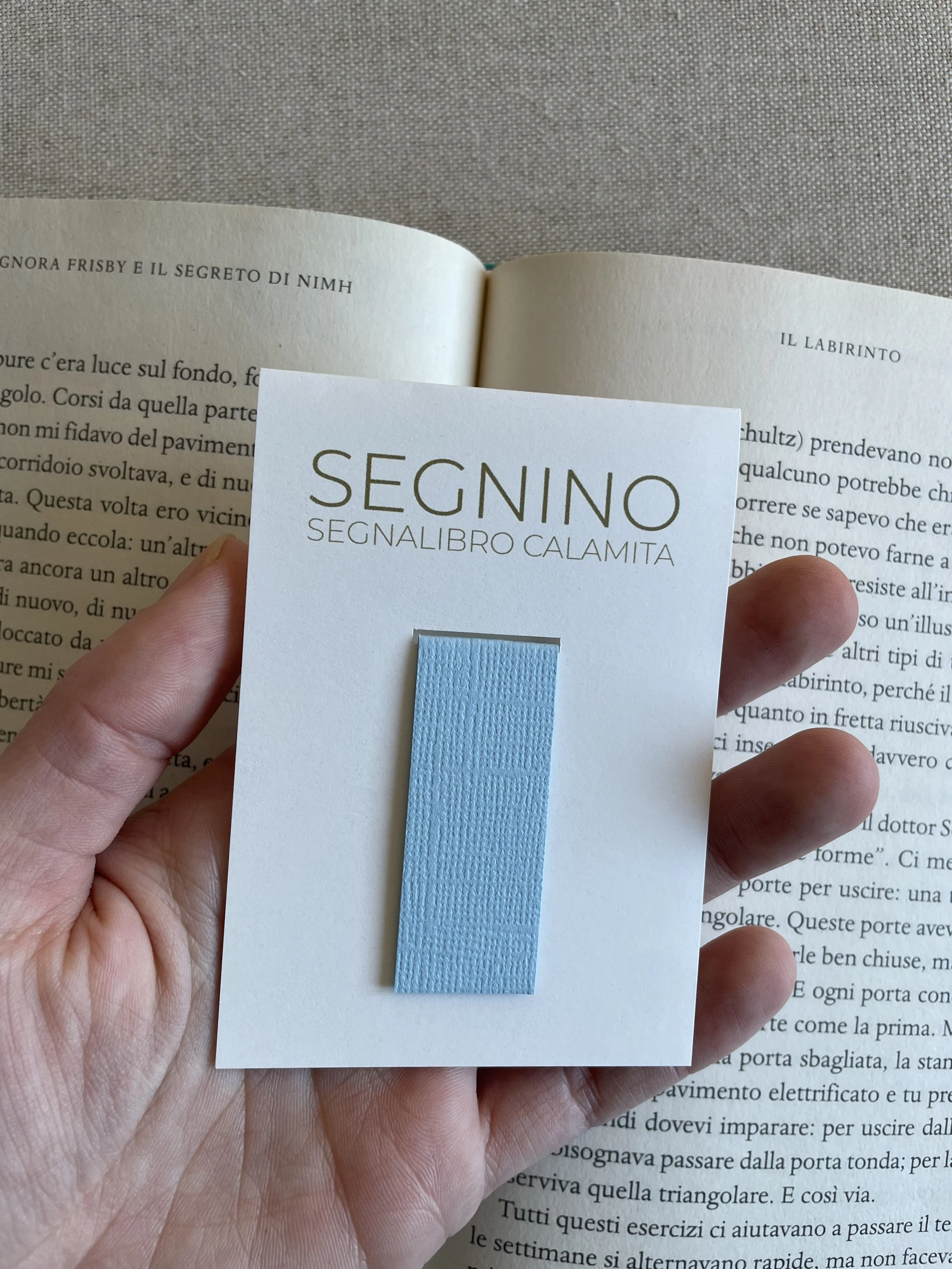 Foto 08-12-25, 11 53 01.jpg