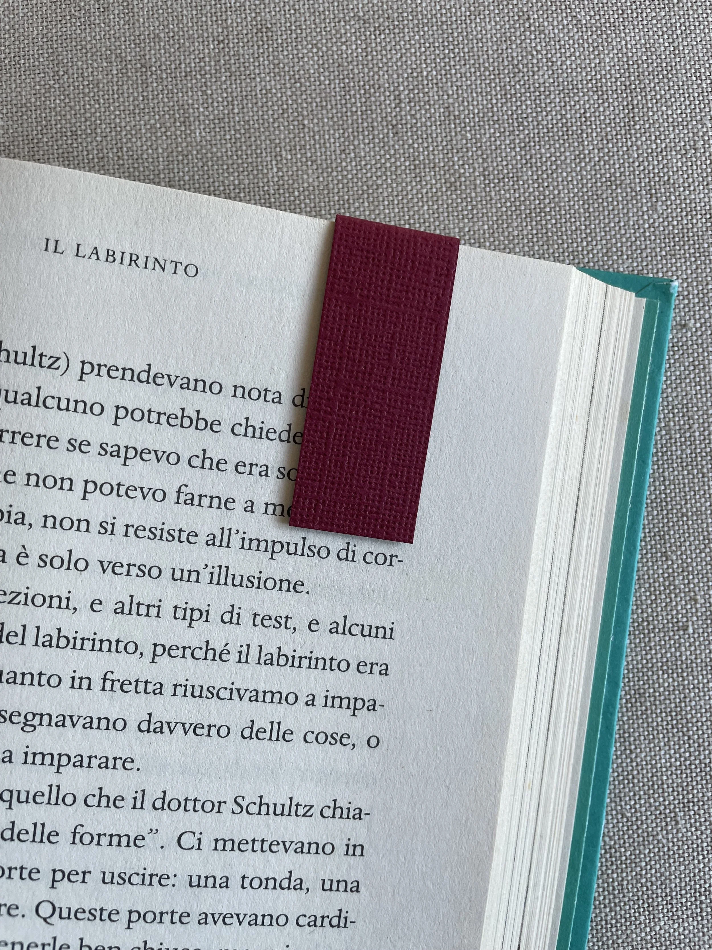 Foto 08-12-25, 11 01 09.jpg