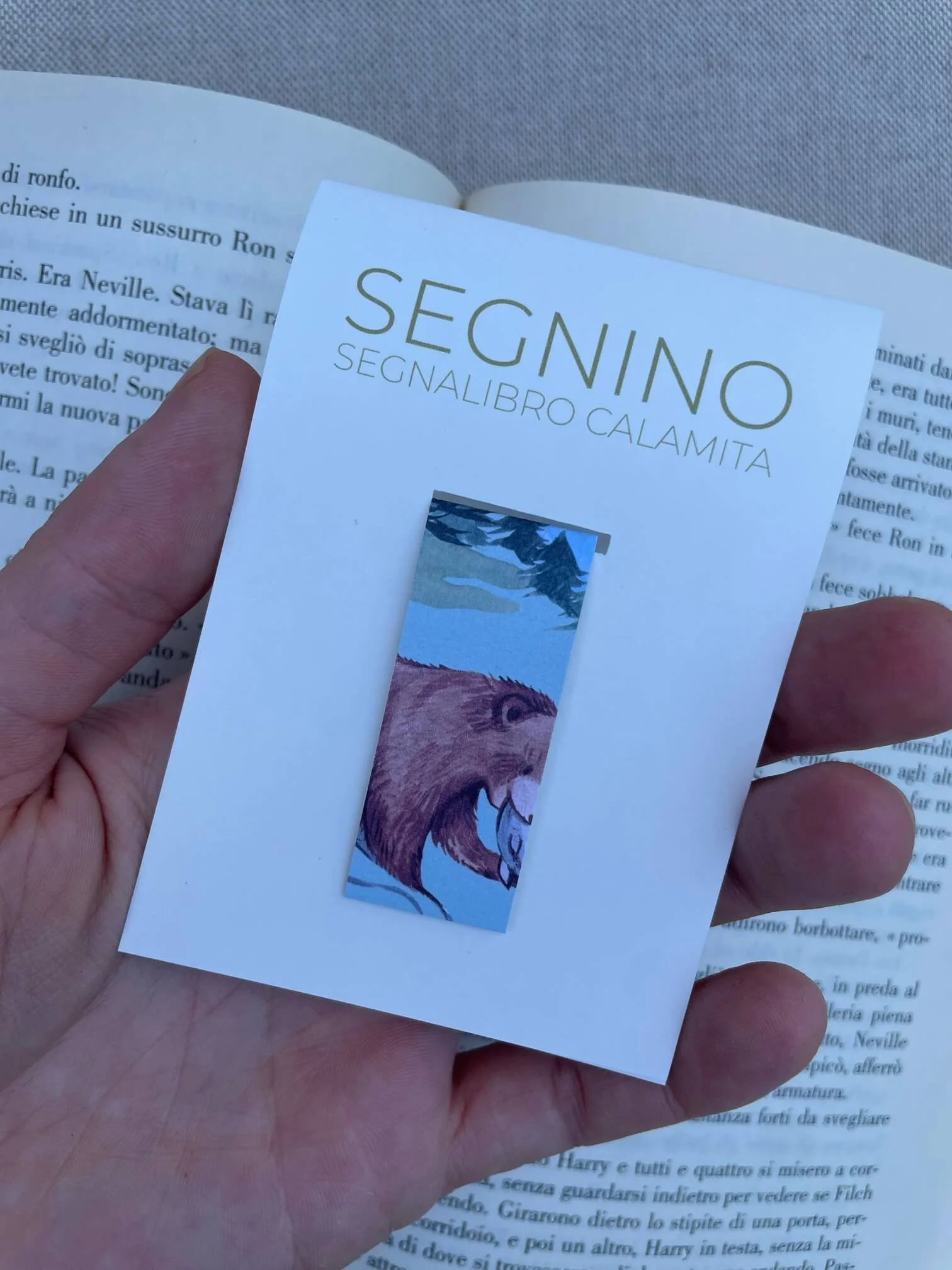 SEGNINO PICCOLO orso