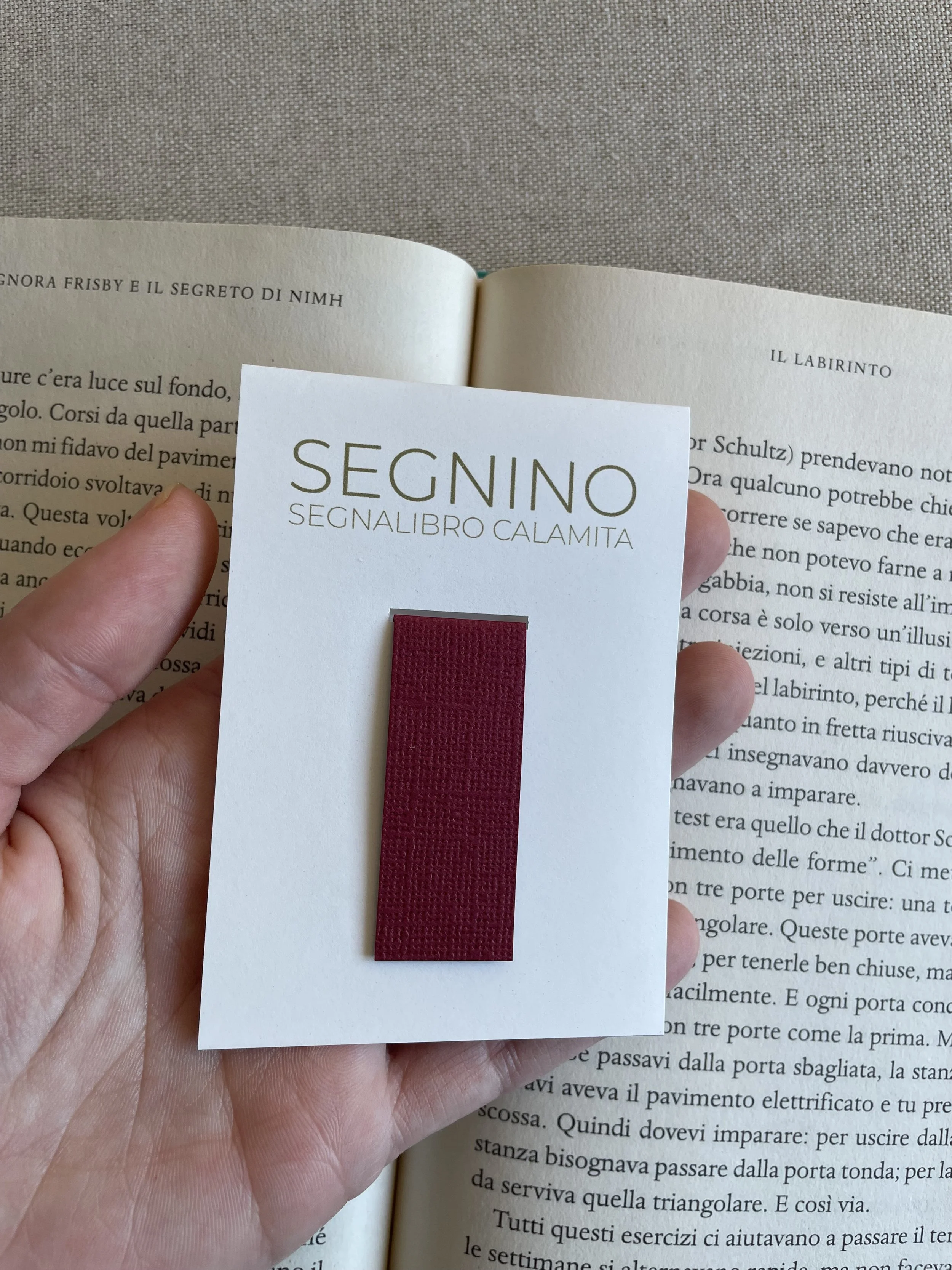 Foto 08-12-25, 12 14 56.jpg