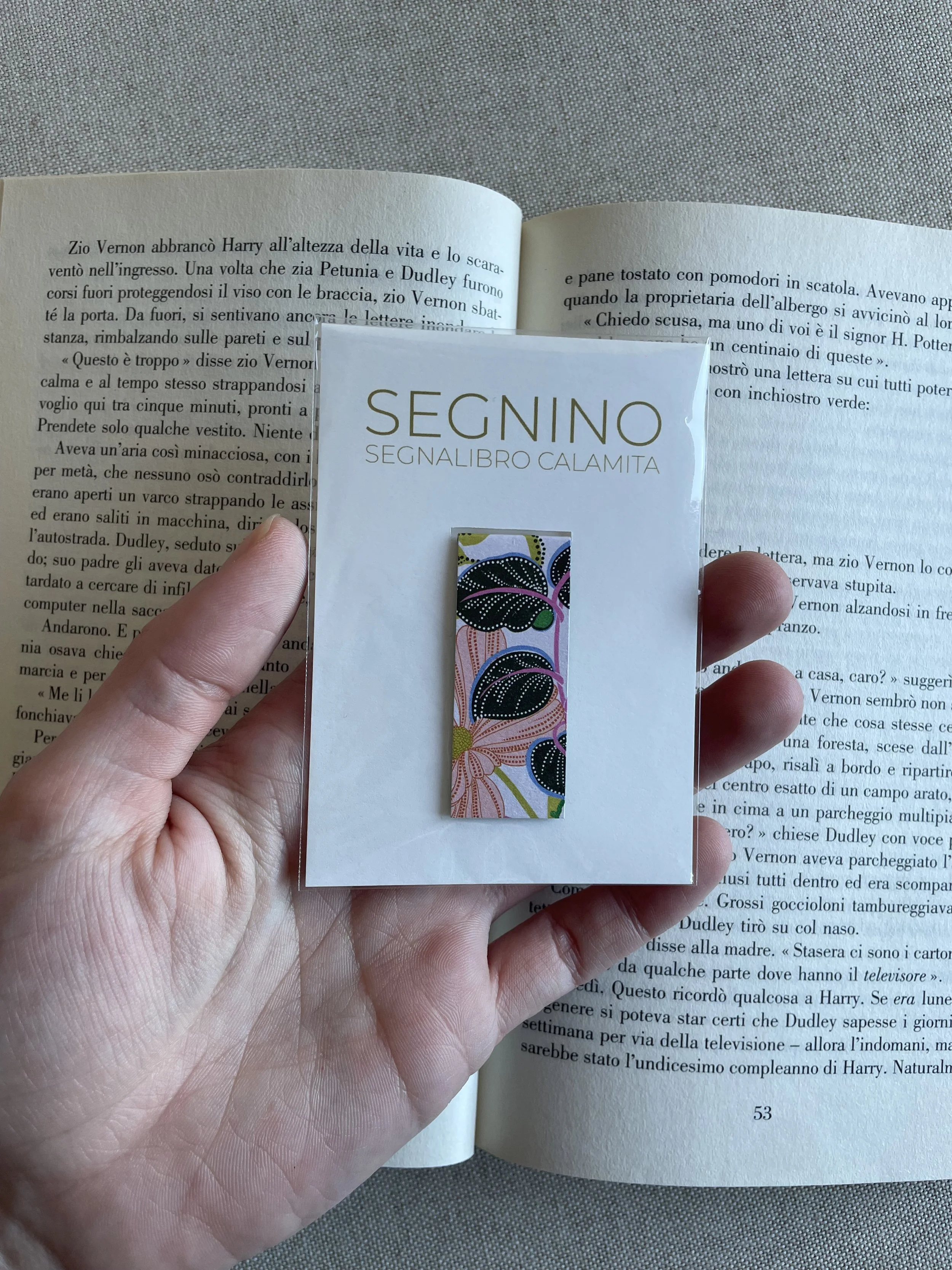 SEGNINO PICCOLO india 2