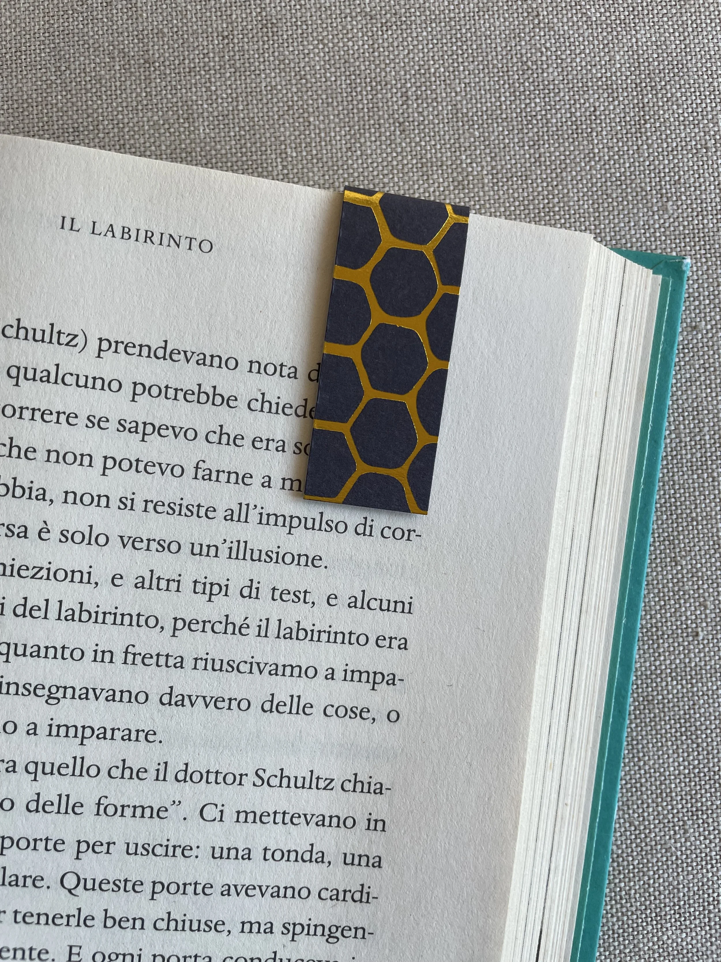 Foto 08-12-25, 11 37 57.jpg