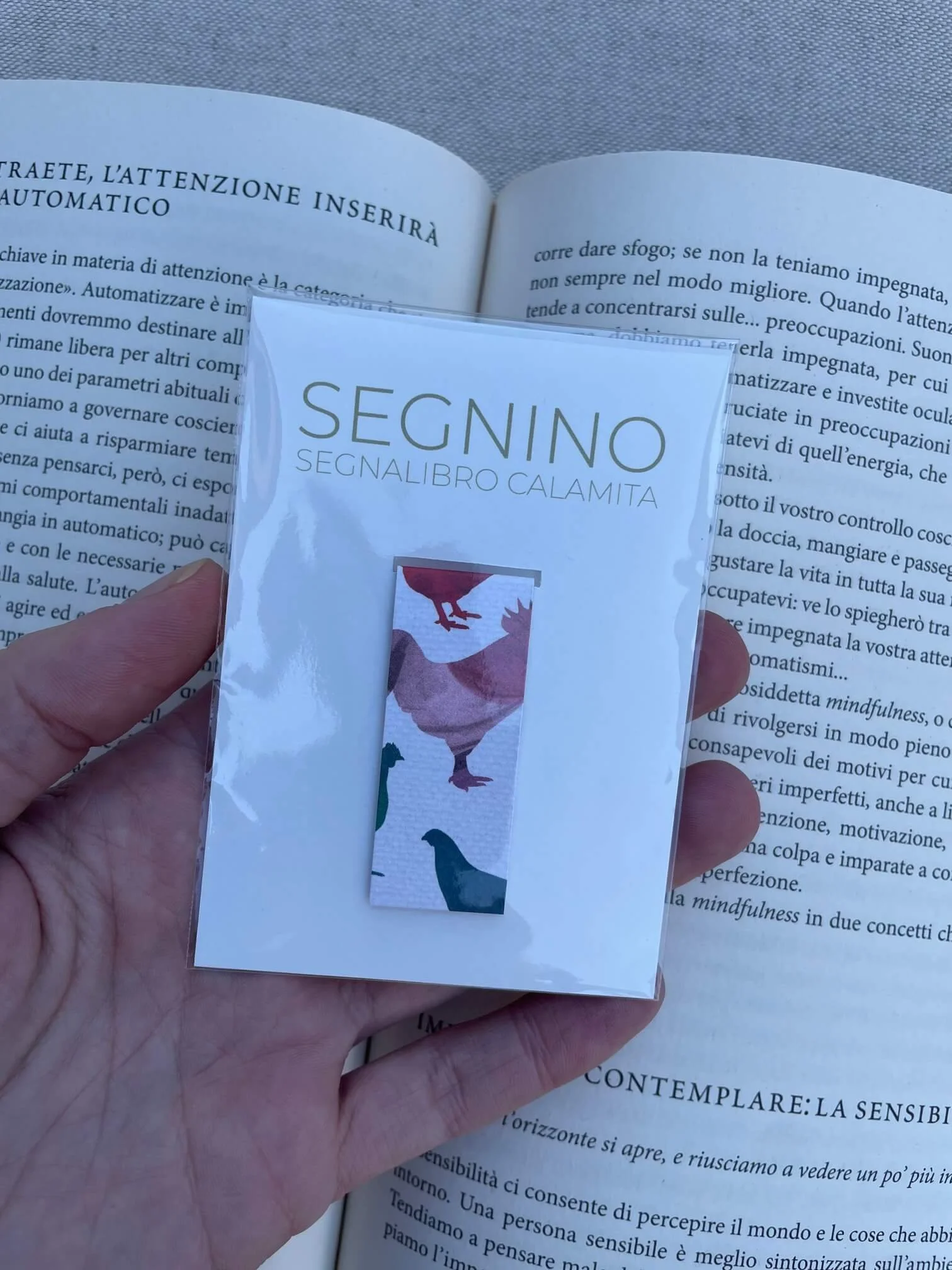 SEGNINO PICCOLO galline