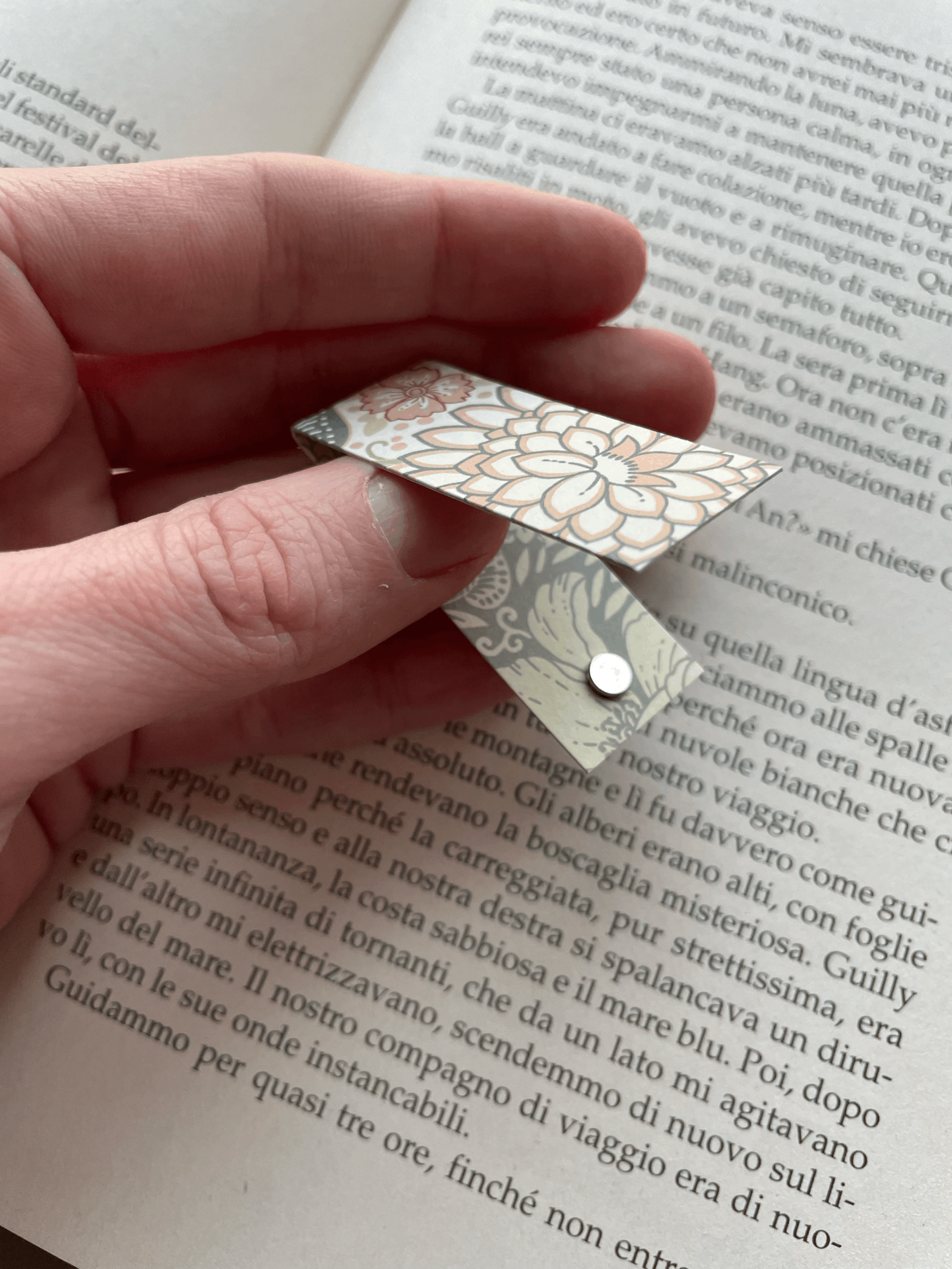 SEGNINO PICCOLO liberty chiaro 2