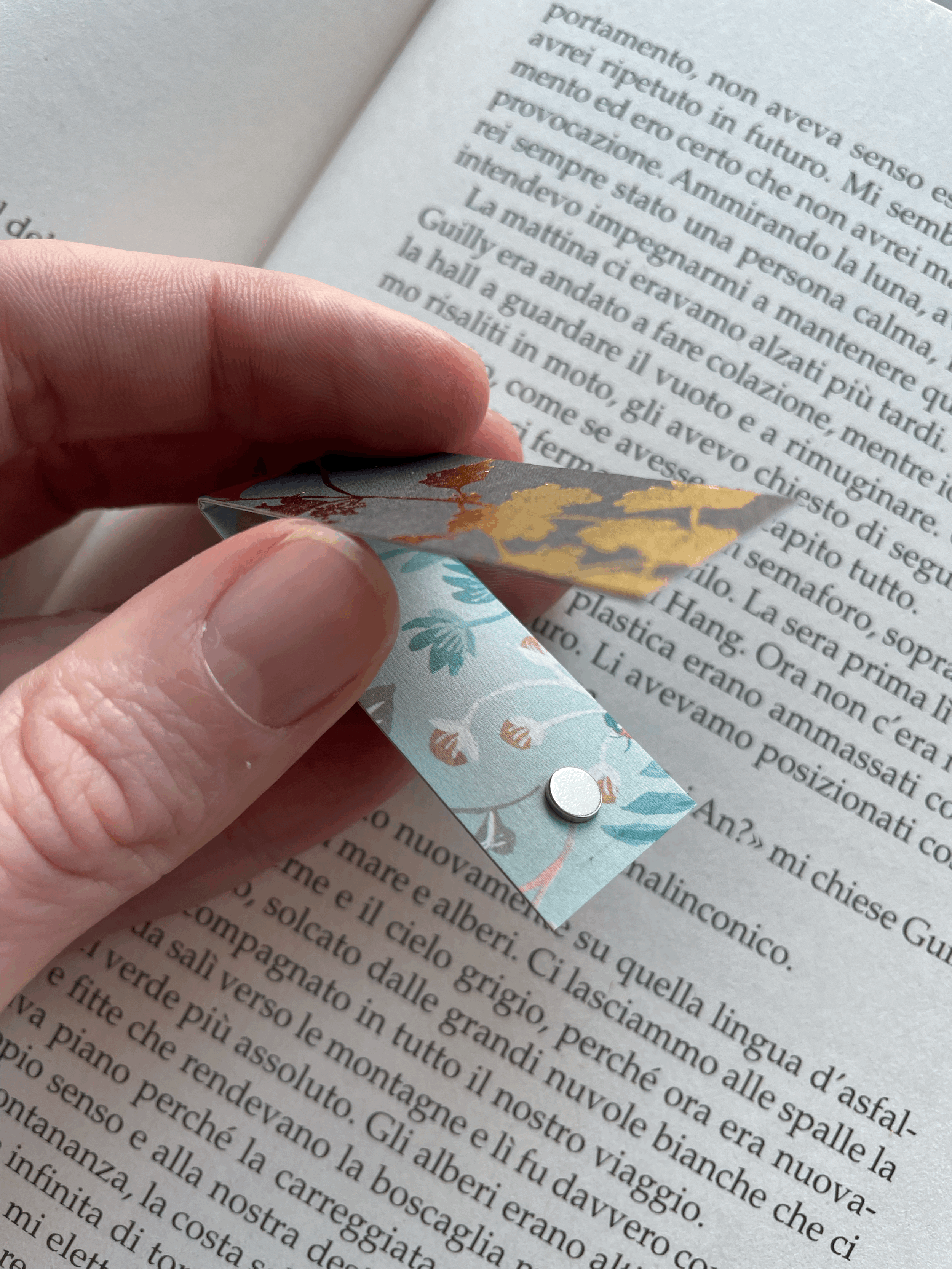 SEGNINO PICCOLO oro 2