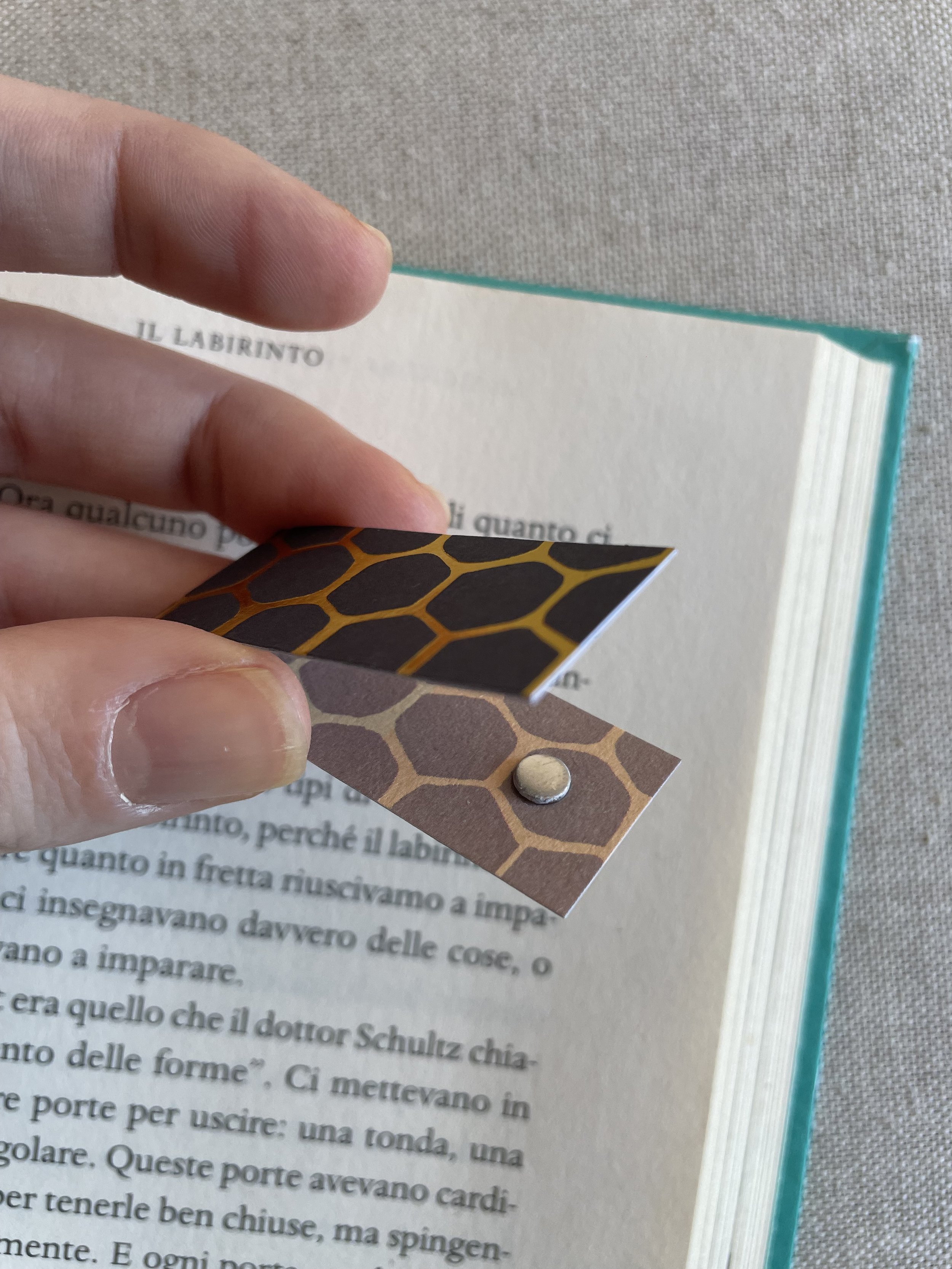 Foto 08-12-25, 11 38 09.jpg