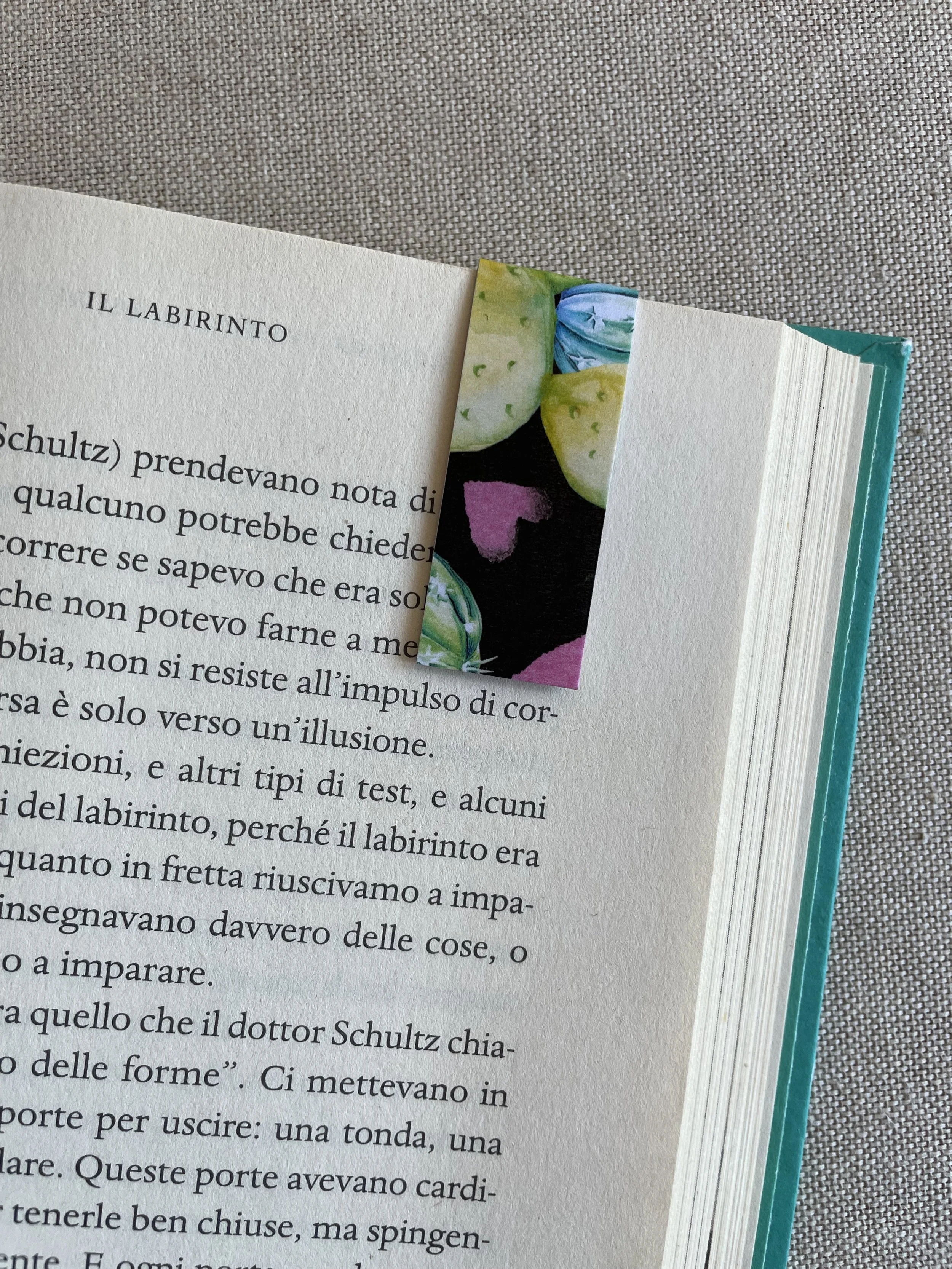 Foto 08-12-25, 11 42 16.jpg