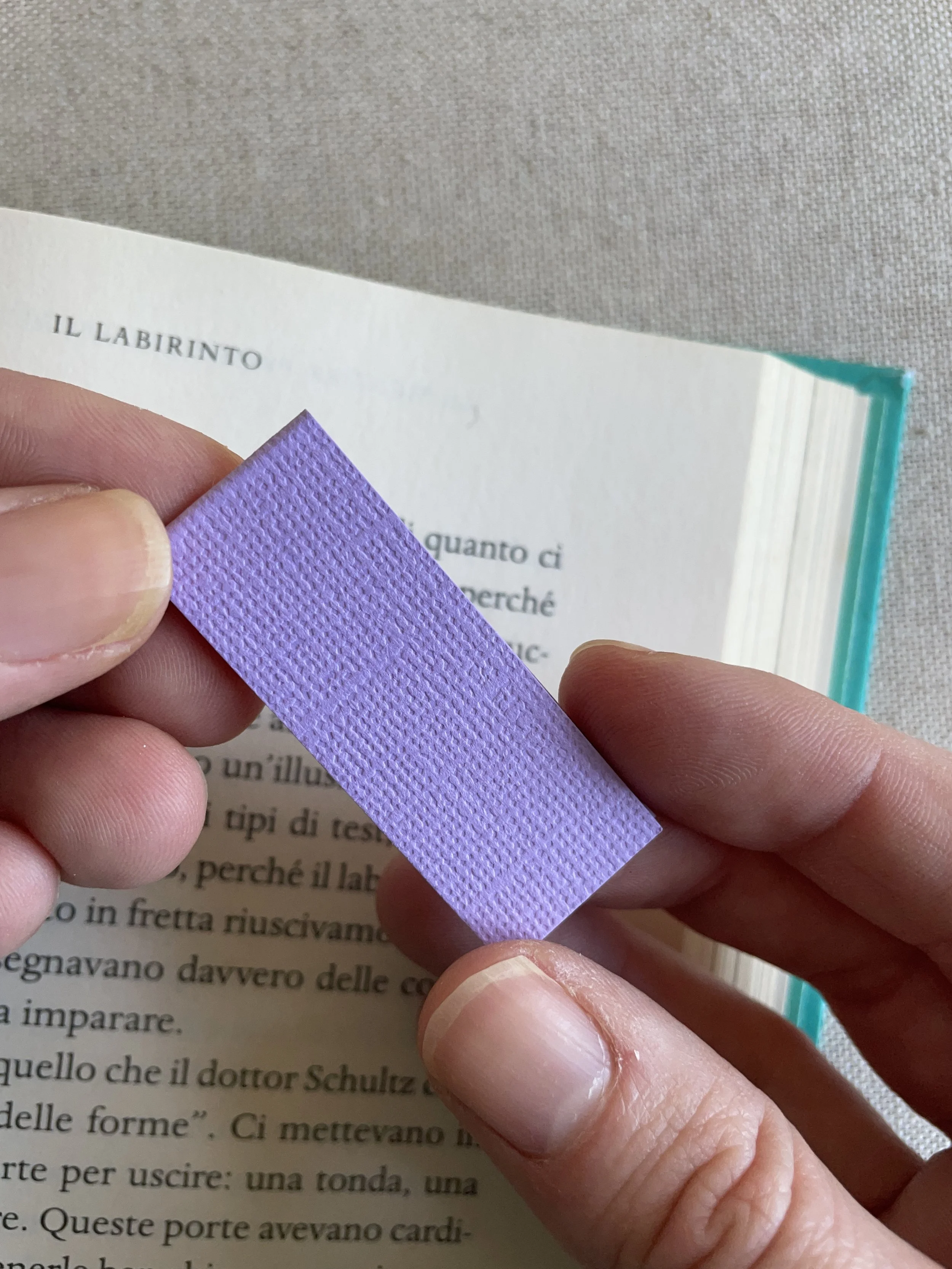 SEGNINO PICCOLO lilla